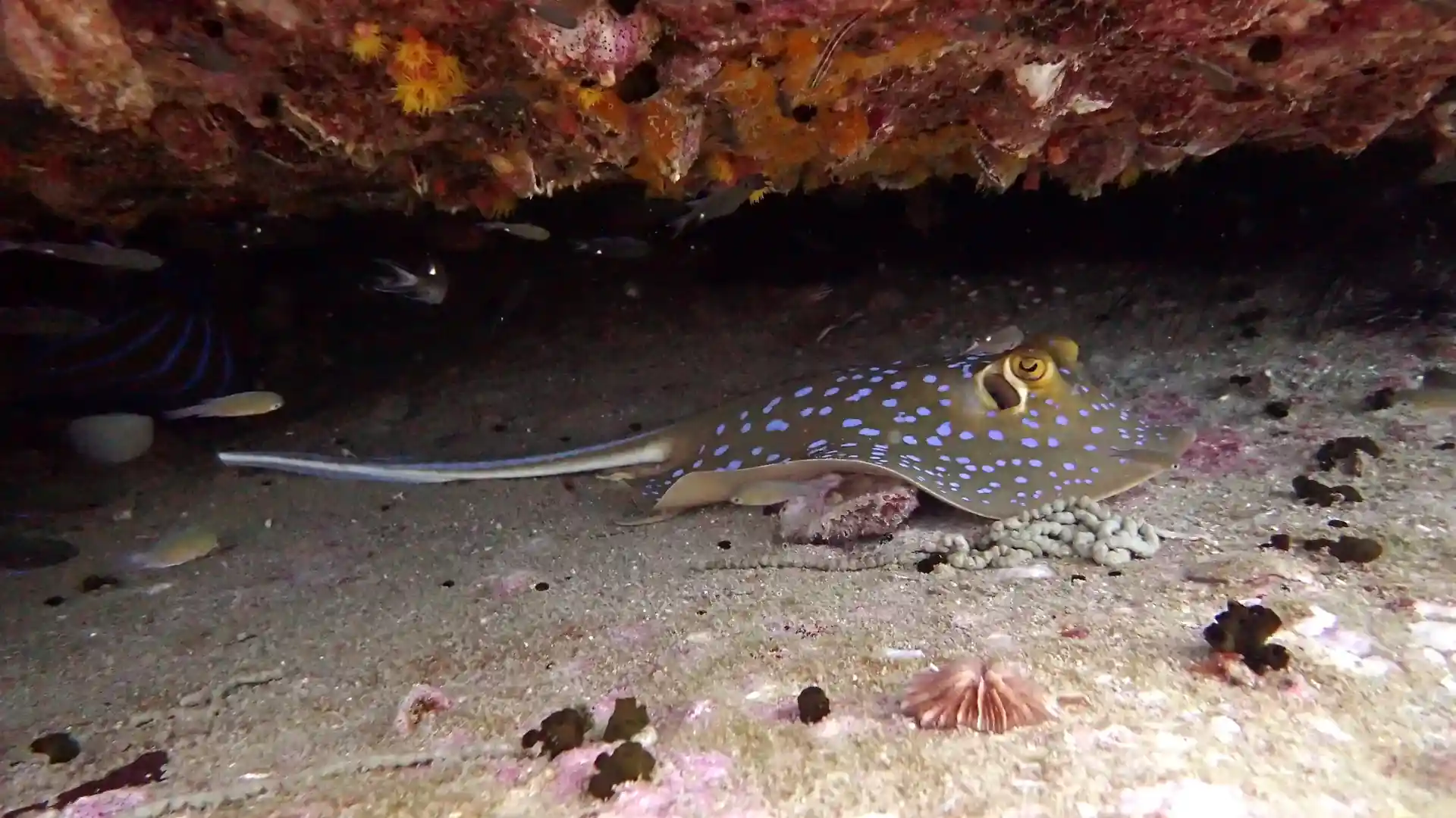 다이빙 포인트 사진