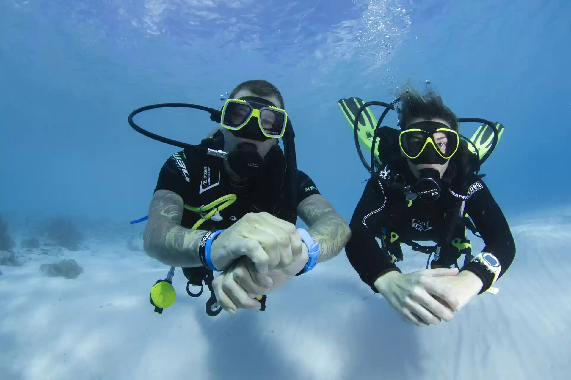 Become a Diver