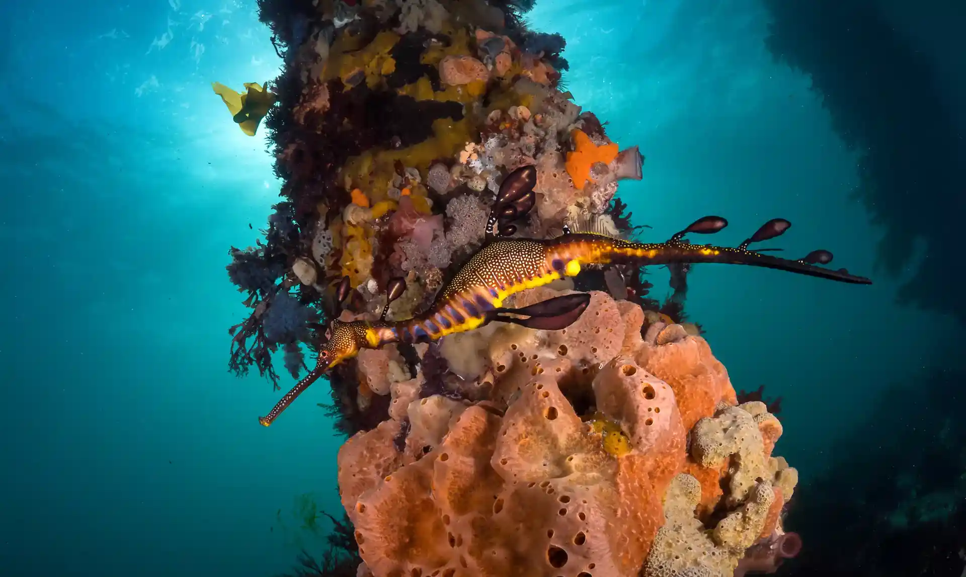 Foto des Tauchplatzes