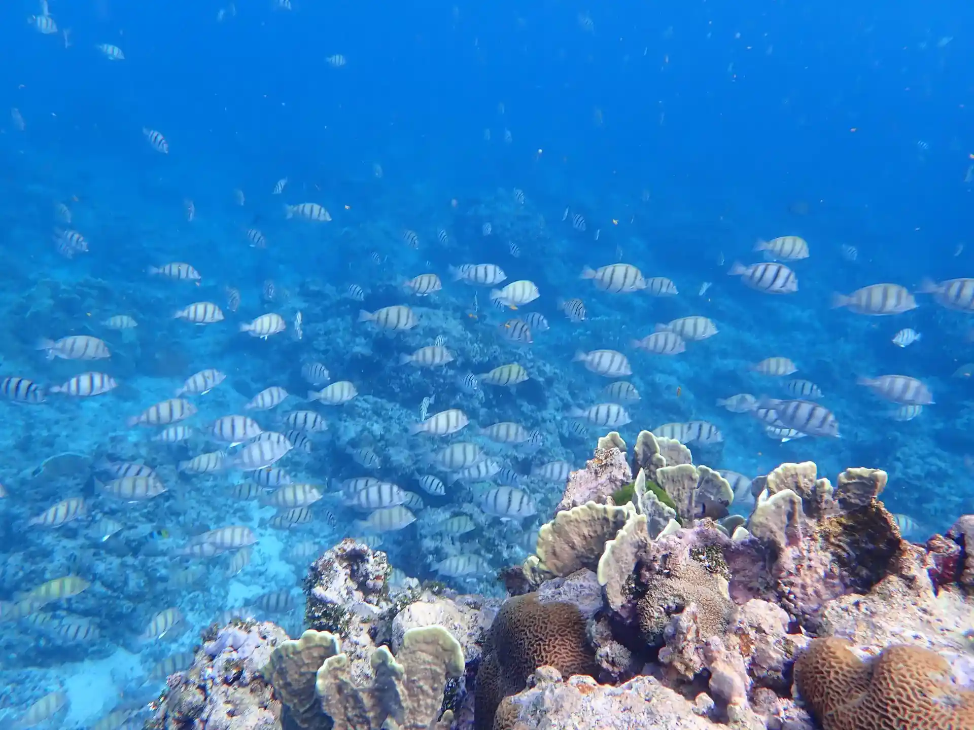 Dive site photo