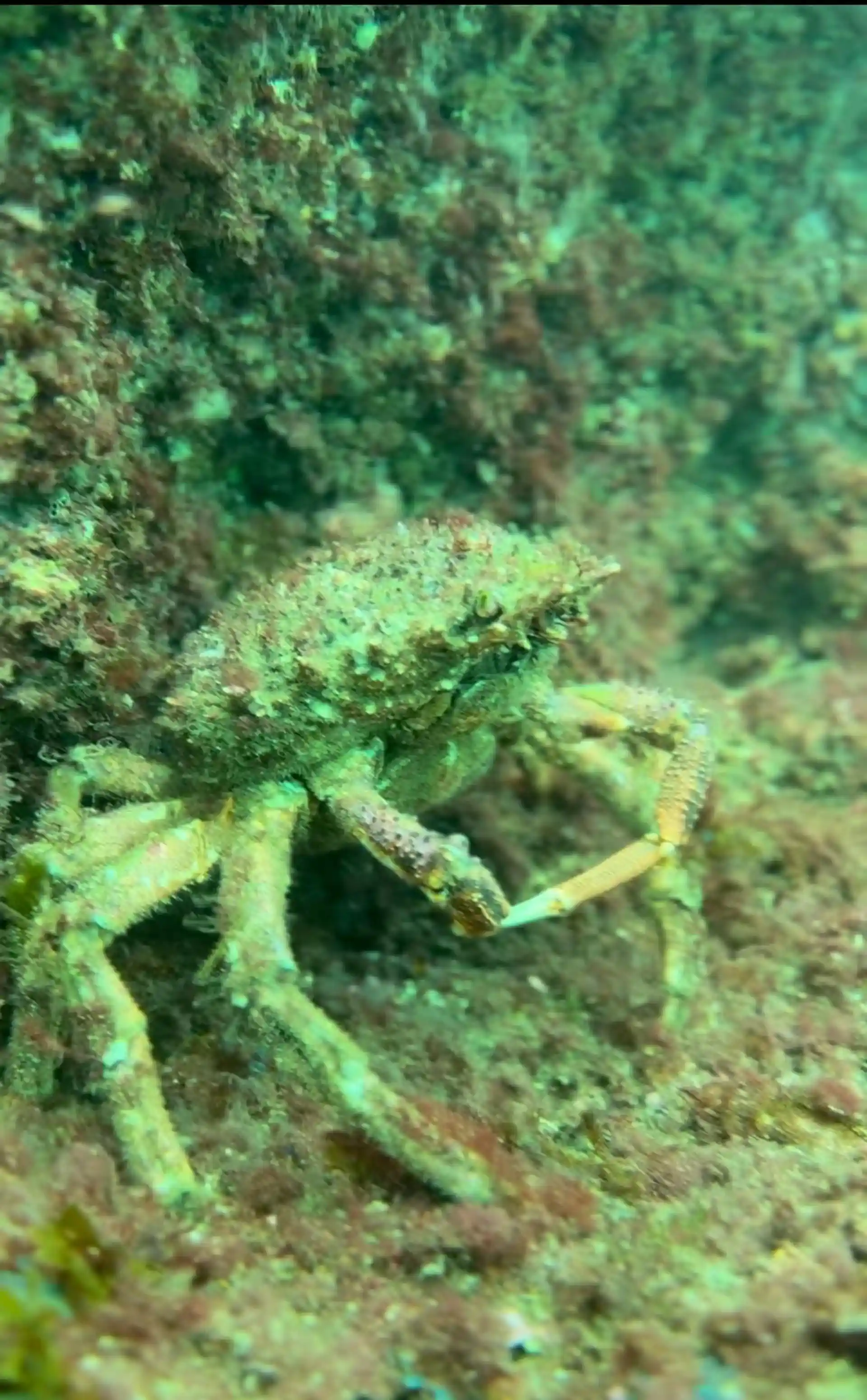 Dive site photo
