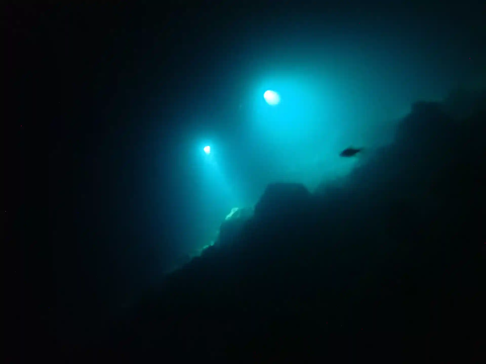 Enjoy the thrill of exploring the reef at night in a safe and exciting way.