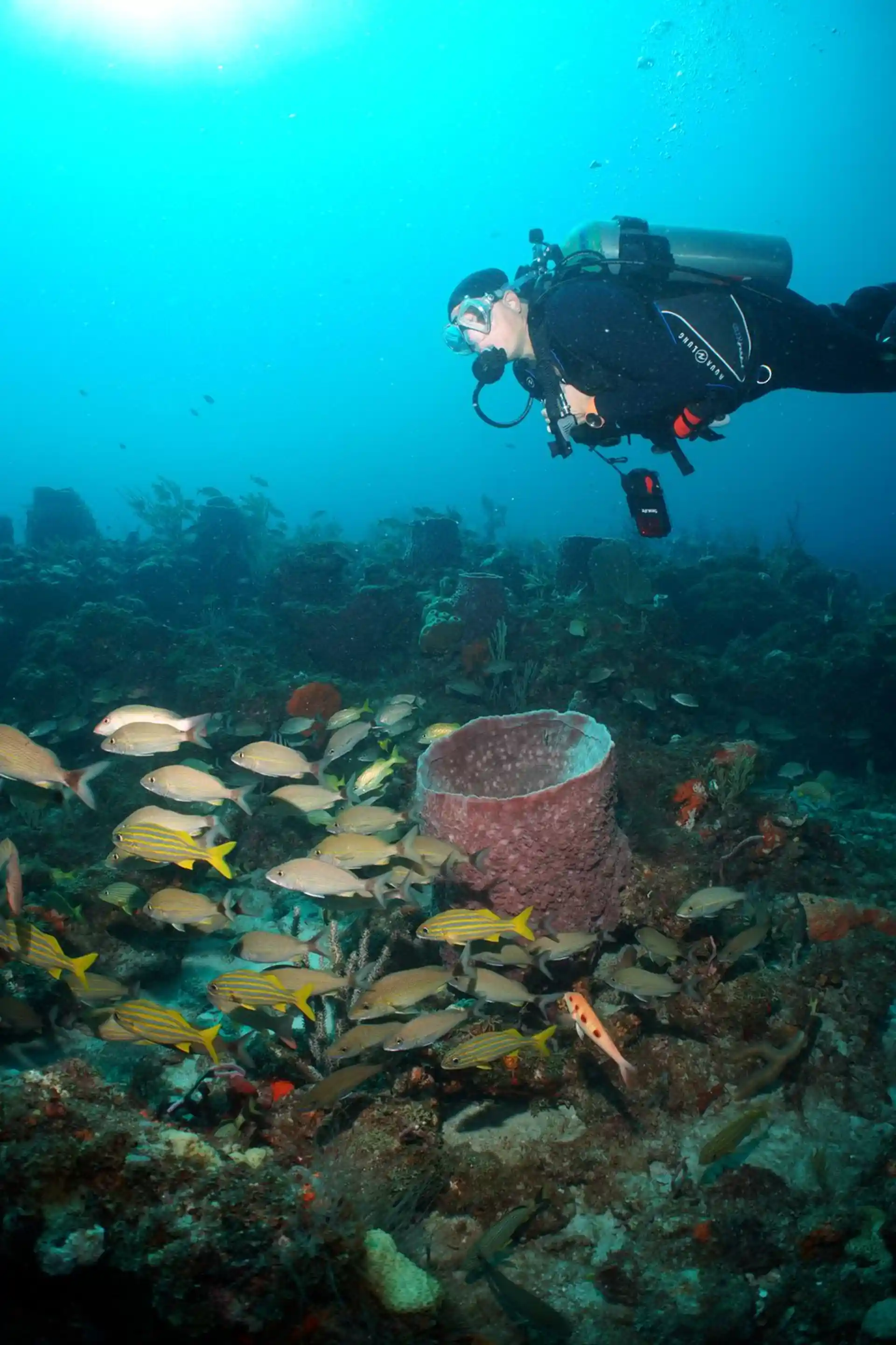 Foto del sitio de buceo