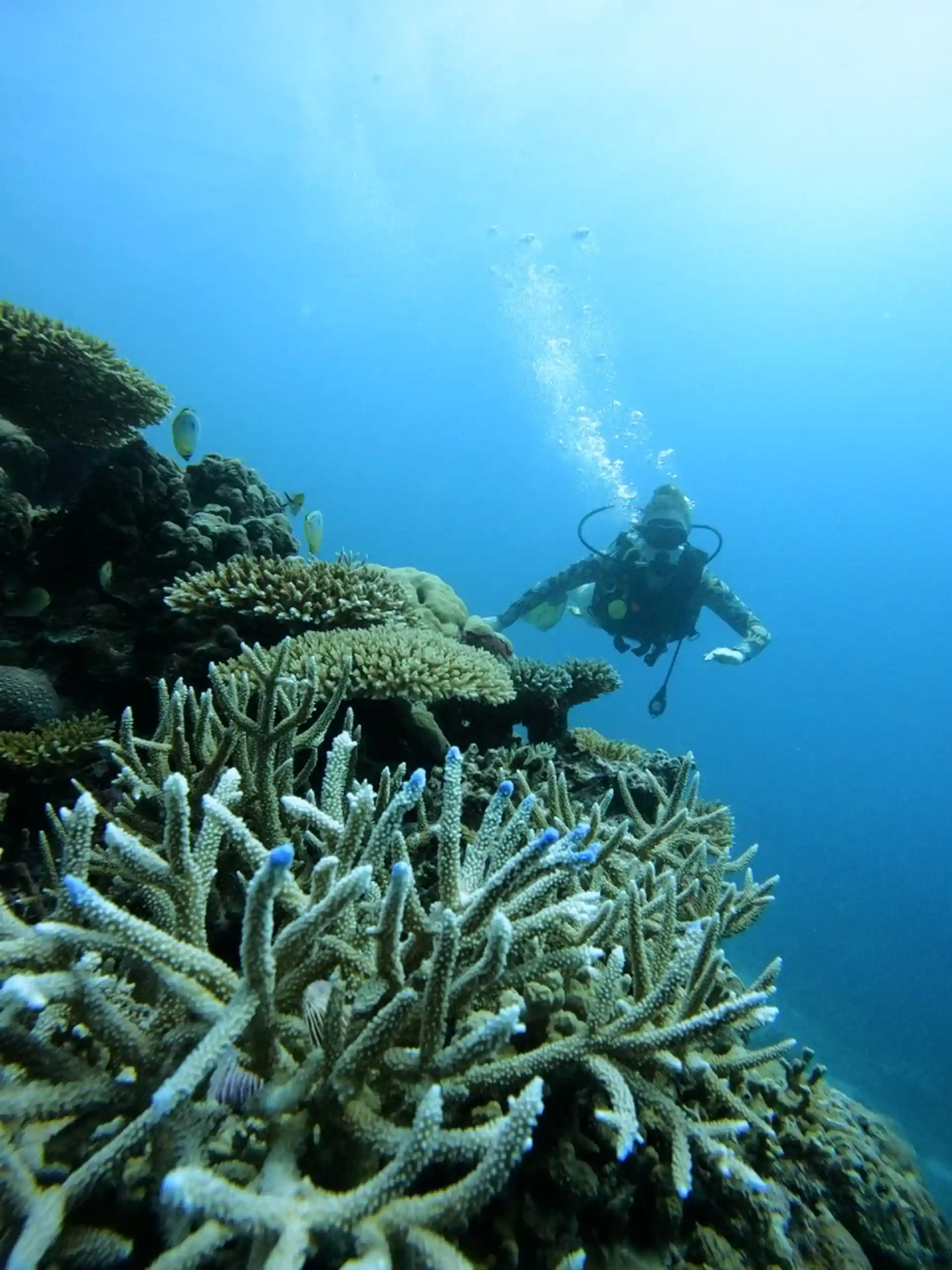 Dive site photo