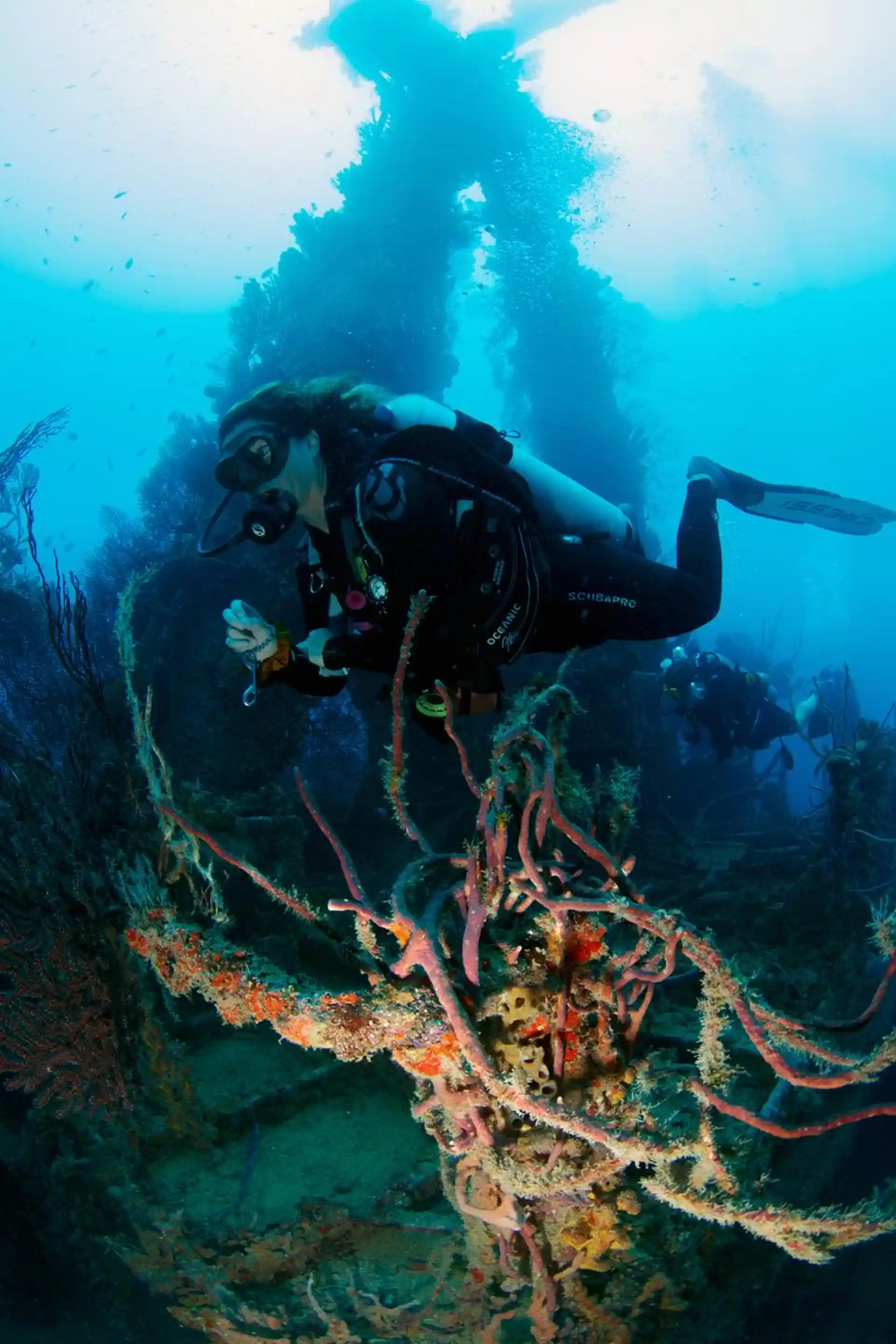 Dive site photo