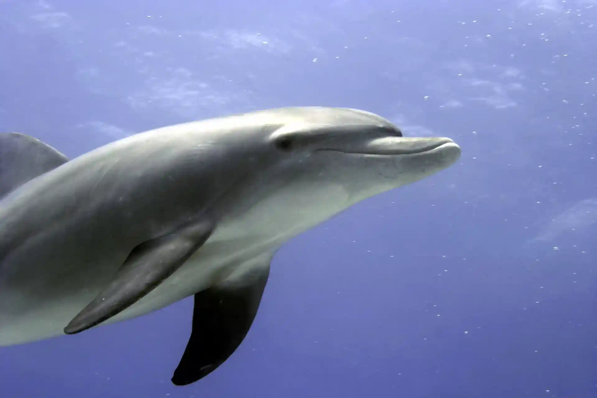 Foto des Tauchplatzes