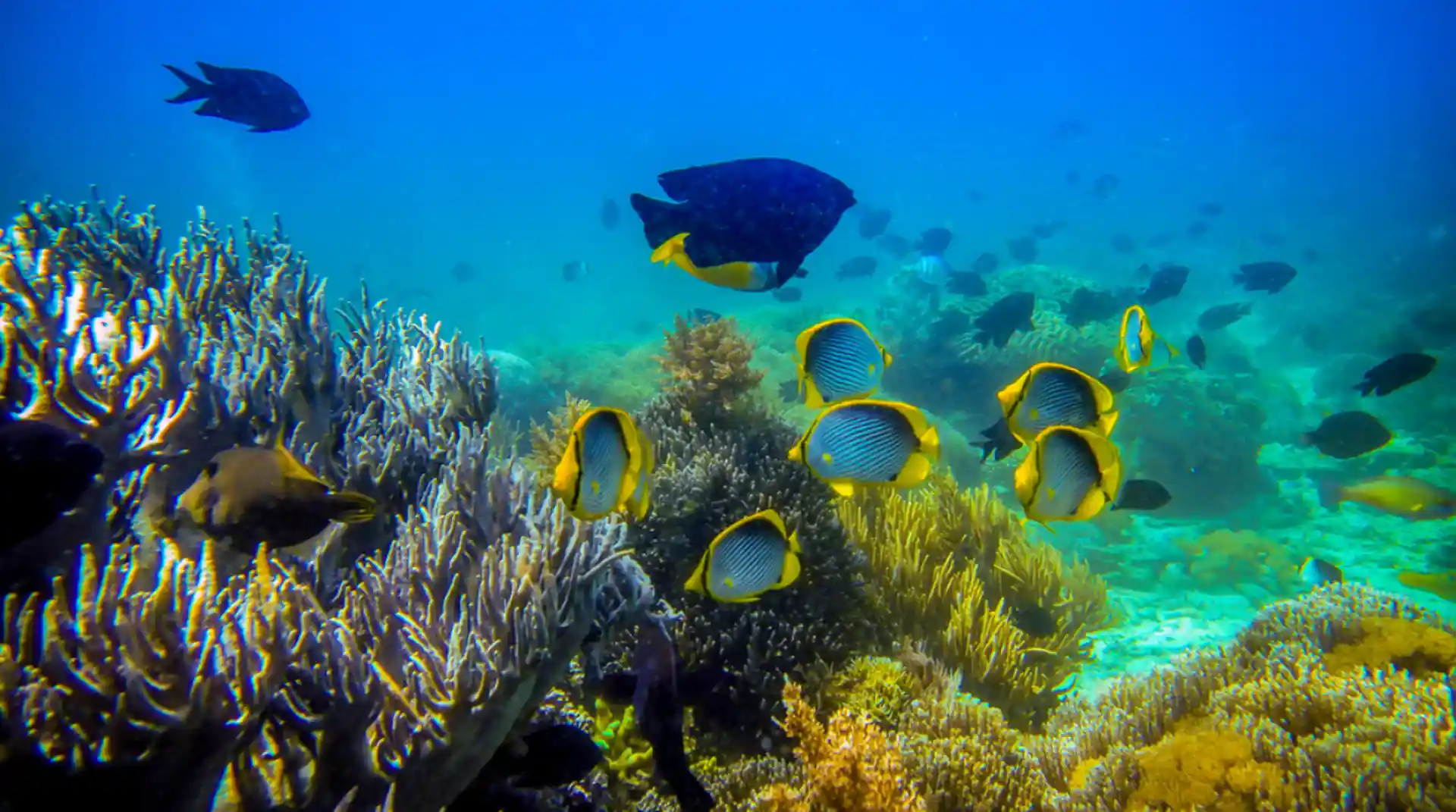 Dive site photo