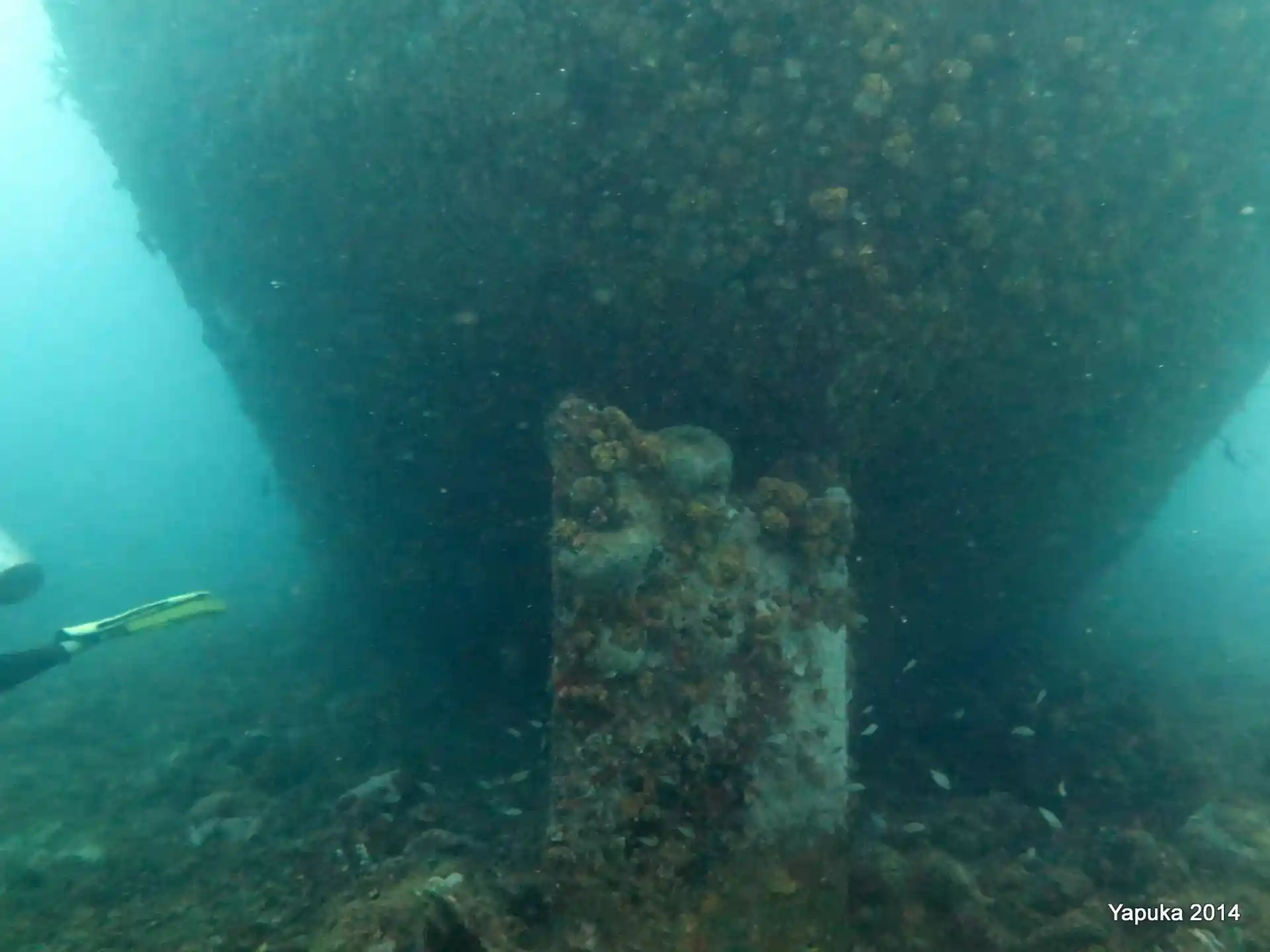Dive site photo