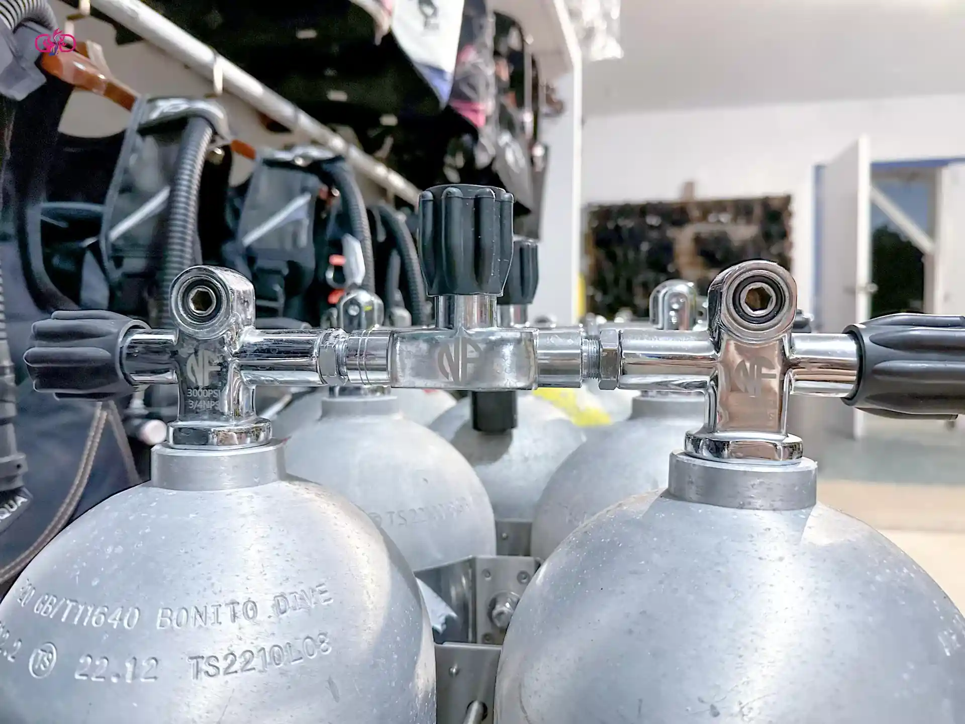 Dive shop photo