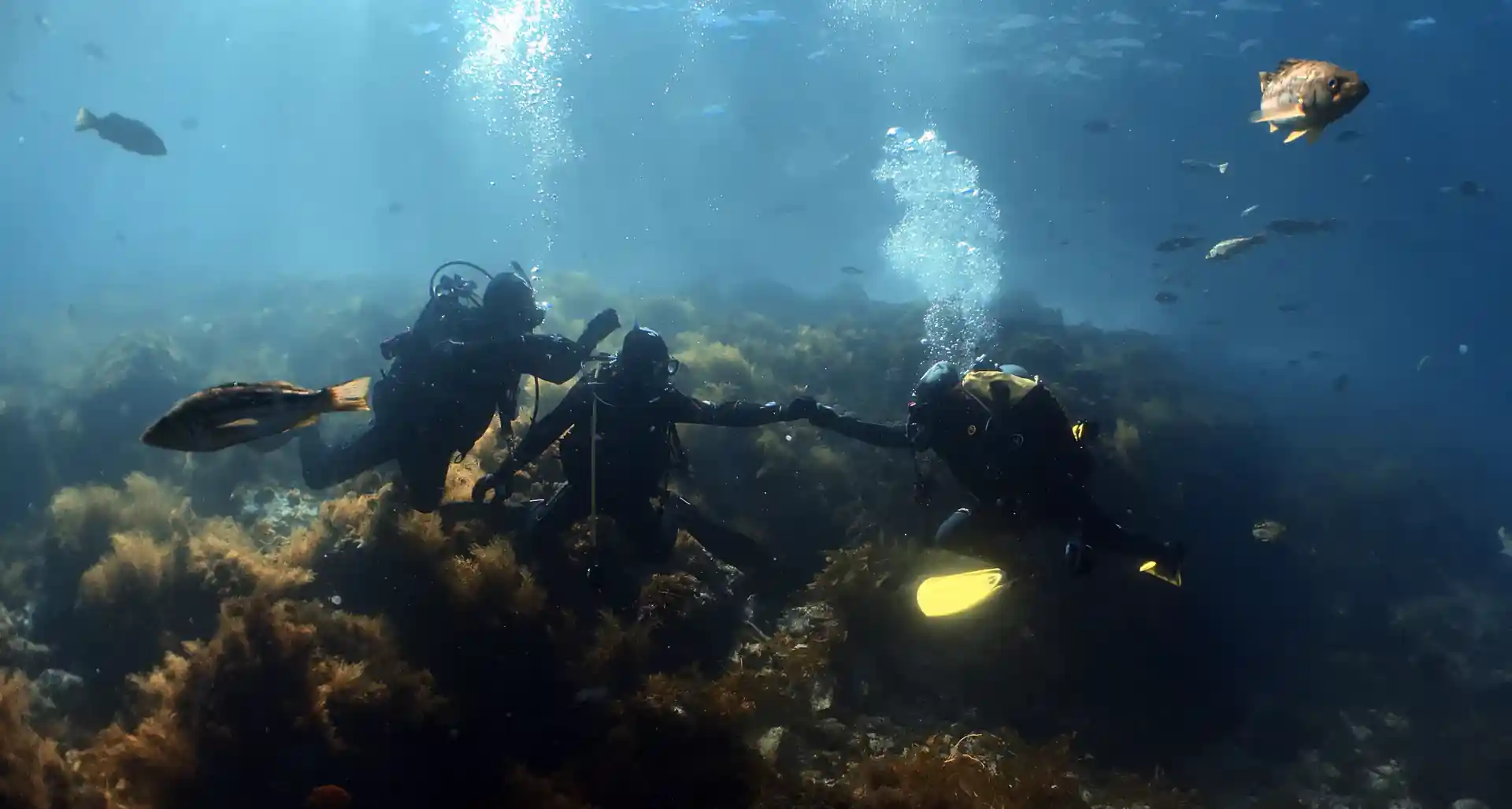 Giving our Advanced students a high five at San Miguel in the California Channel Islands