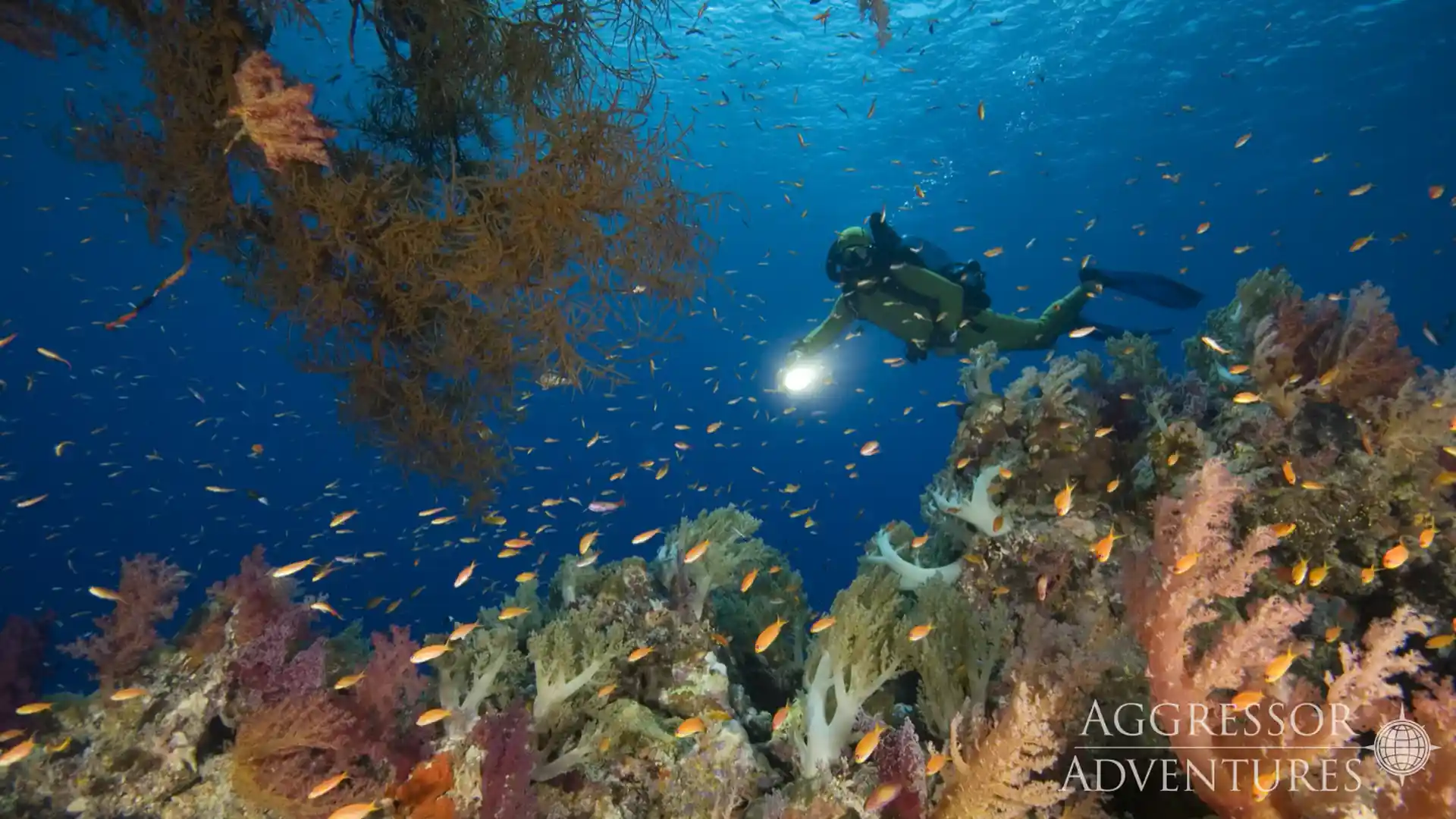 Dive shop photo