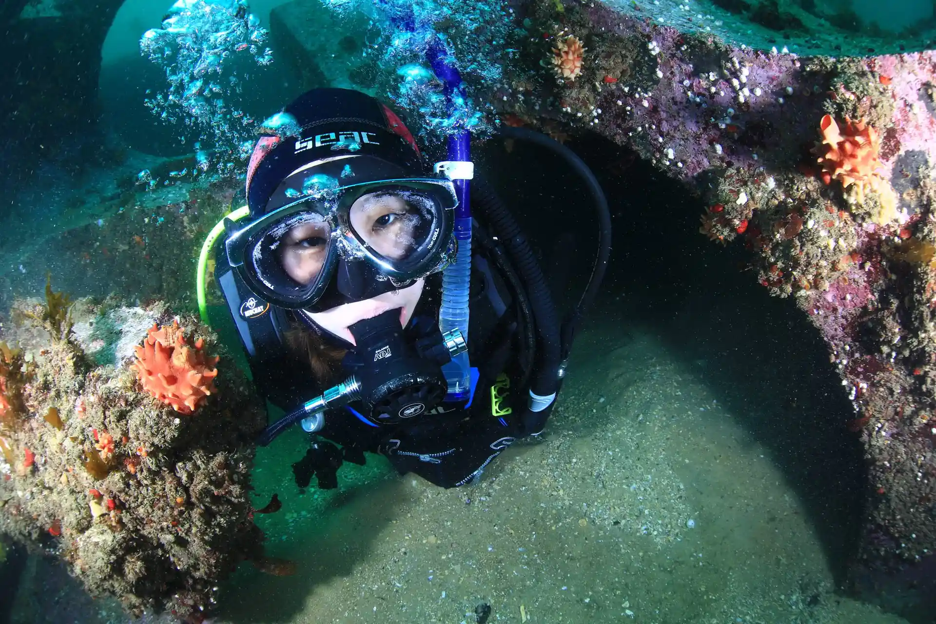 다이빙 포인트 사진