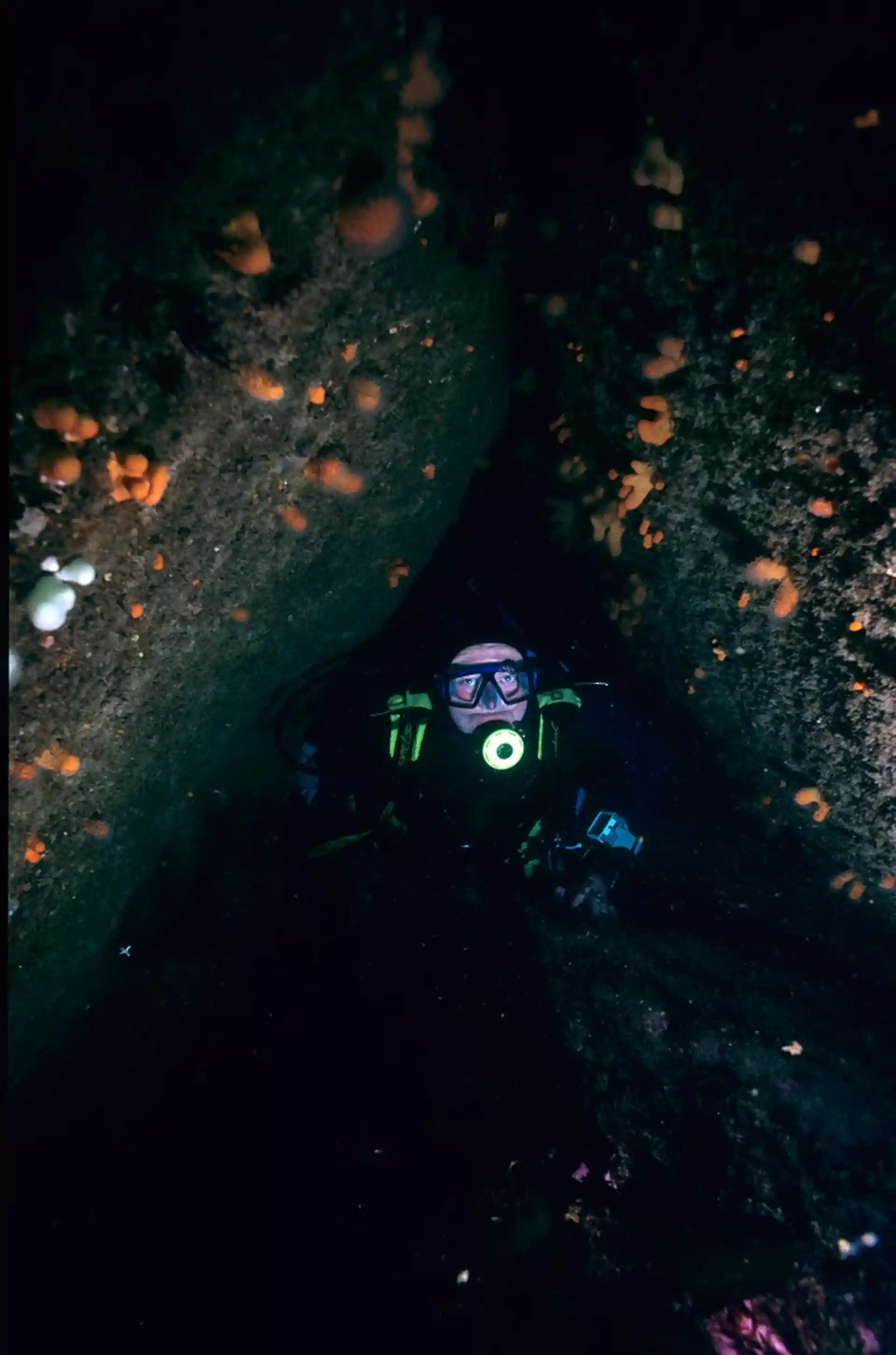 다이빙 포인트 사진