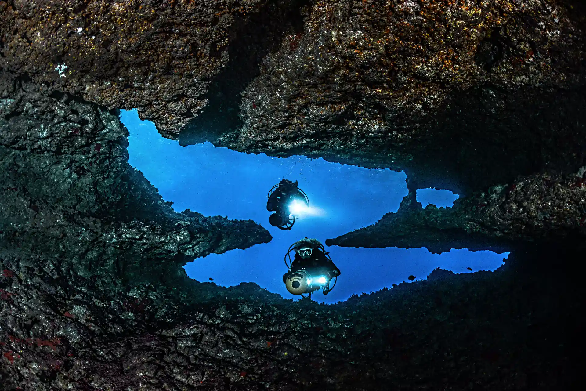 Photo de l'activité