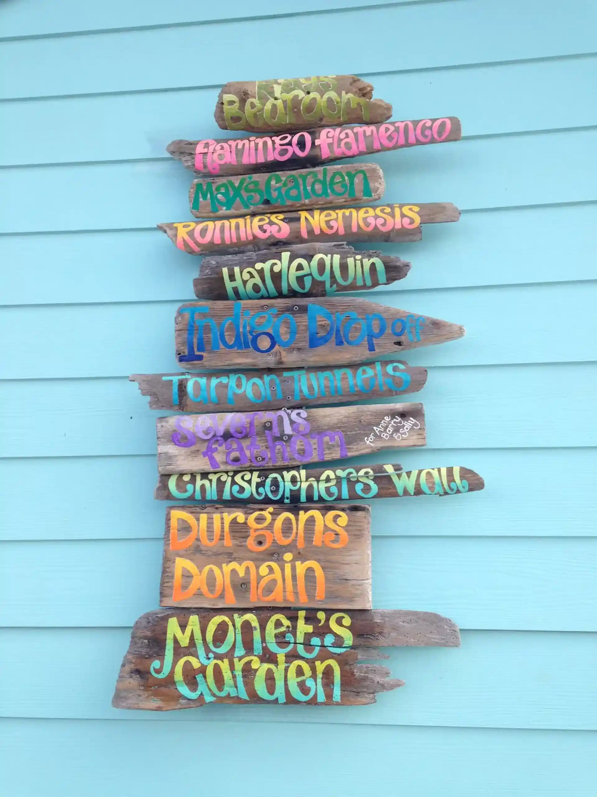 Dive shop photo