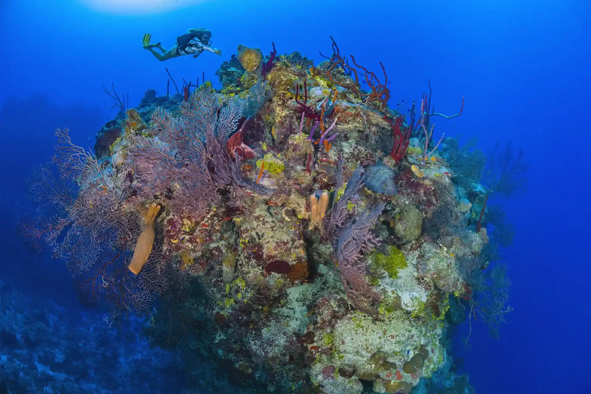 Dive site photo