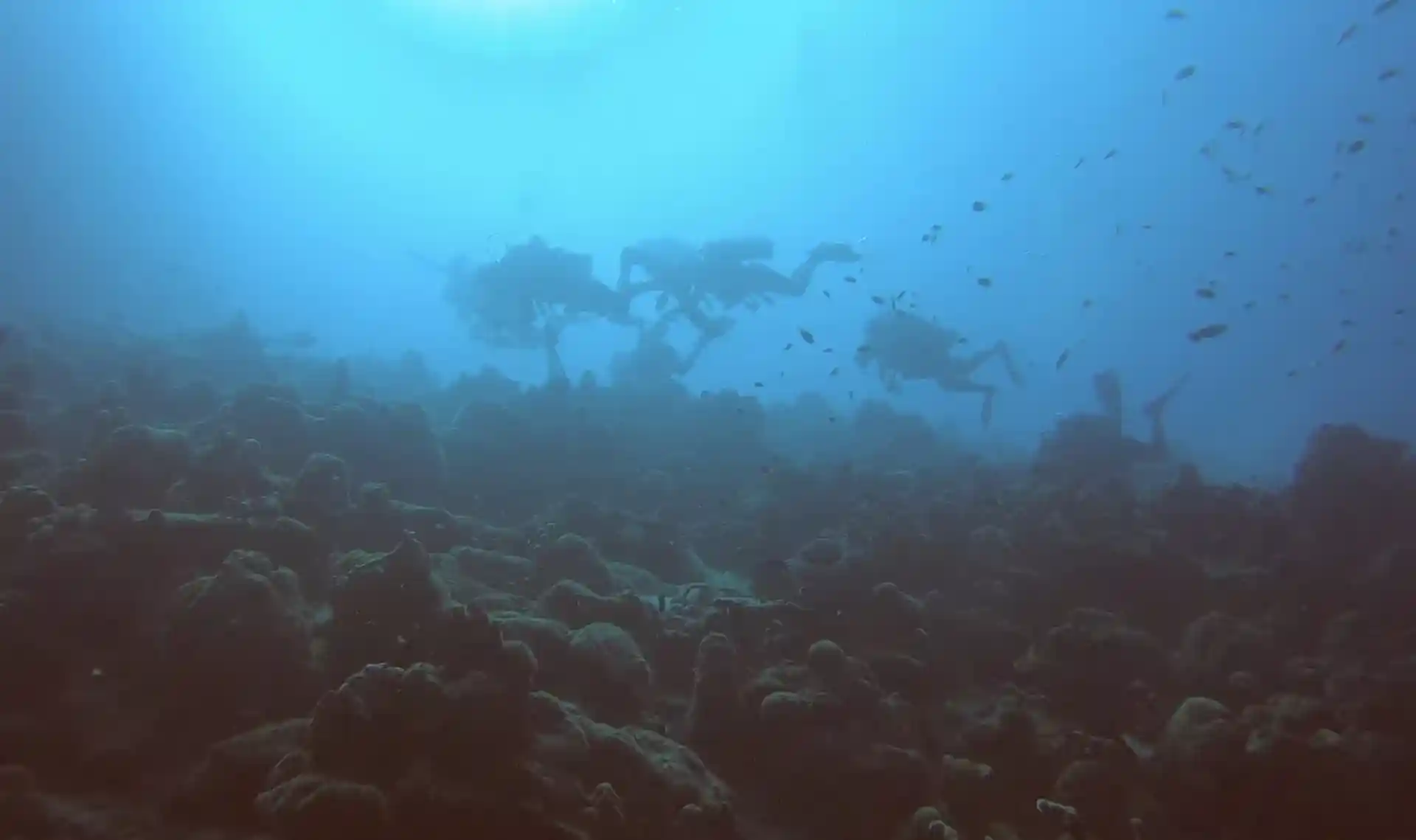 다이빙 포인트 사진