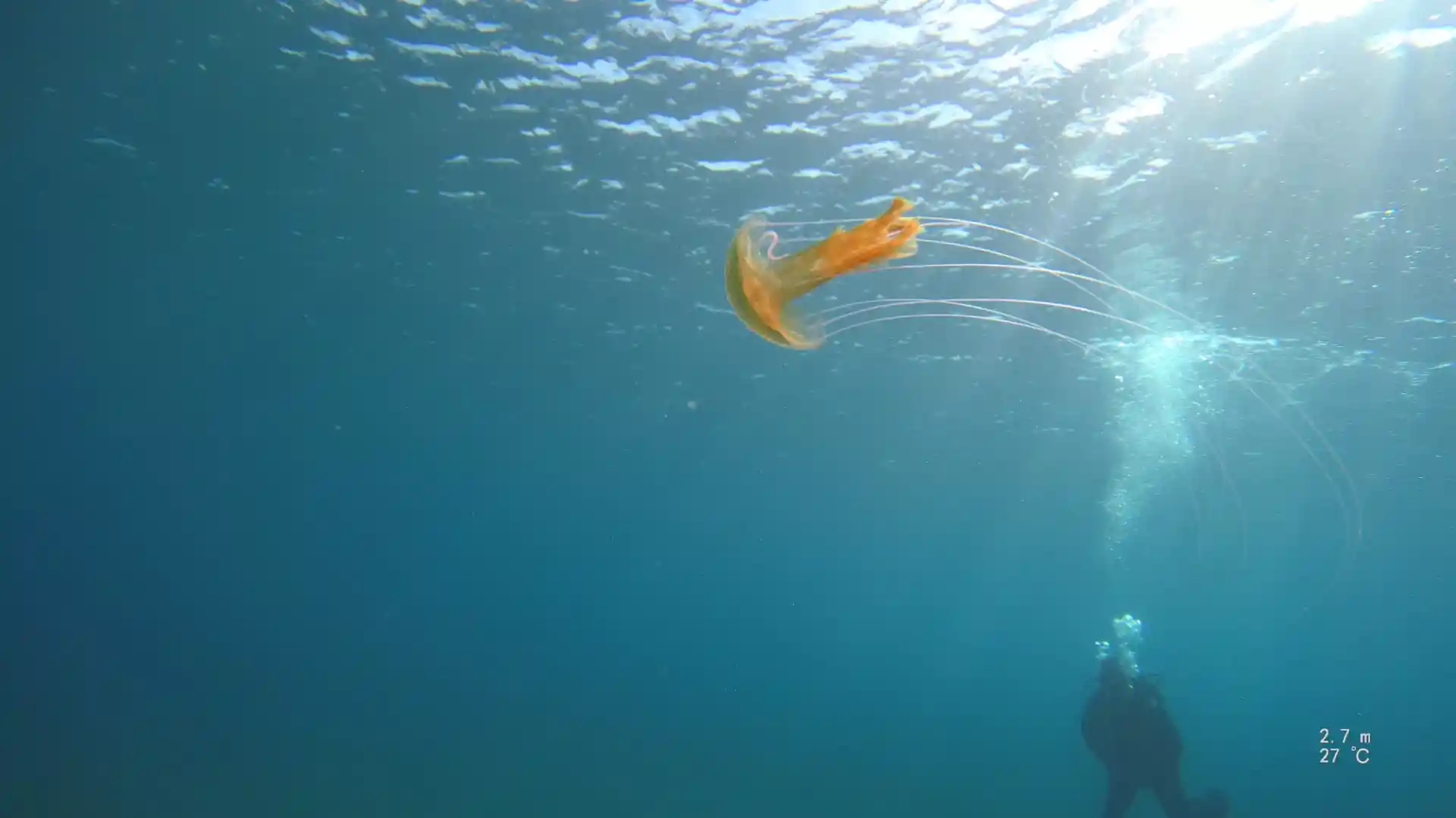 Dive shop photo