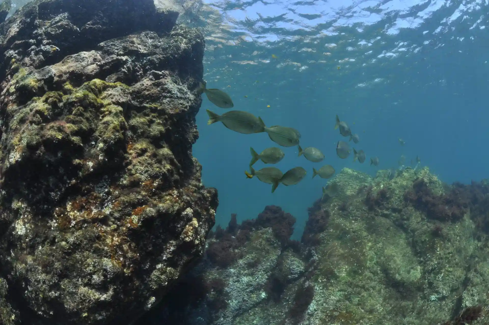 Dive site photo