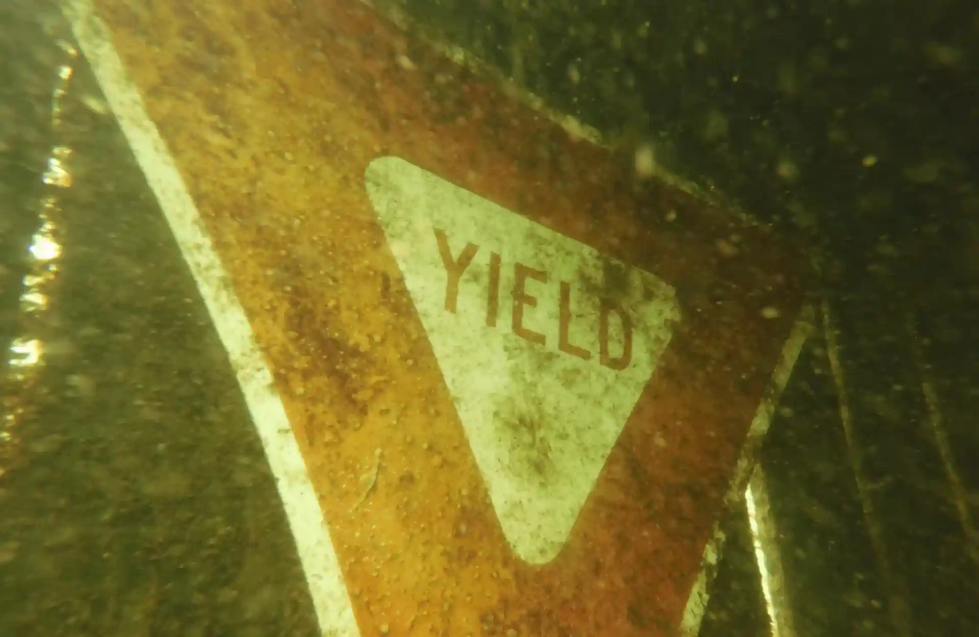 Dive site photo