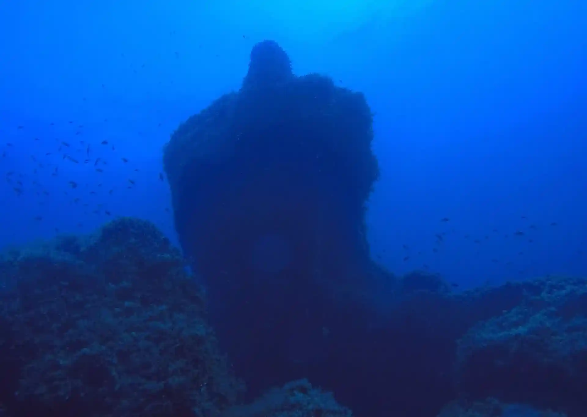 Foto des Tauchplatzes