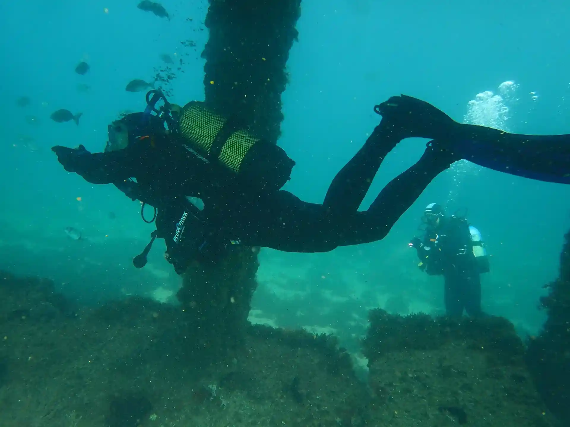 Dive site photo