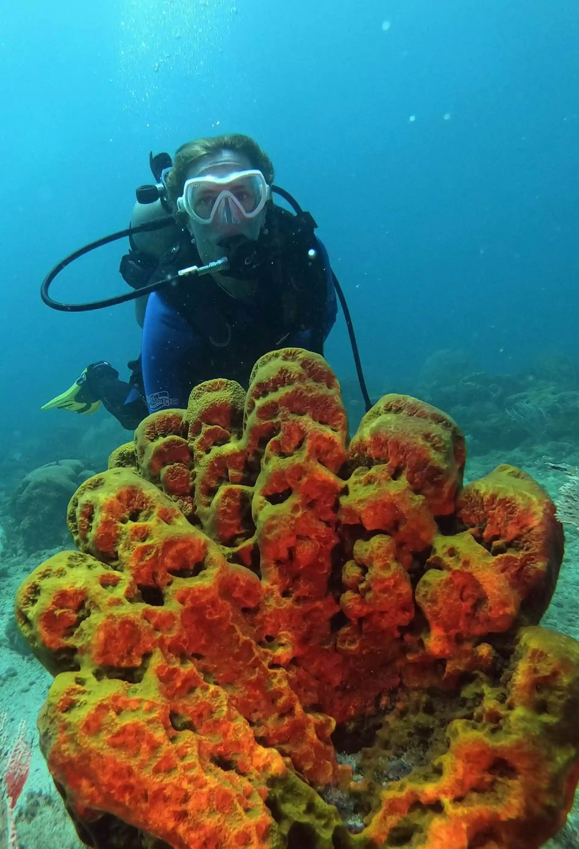 Dive site photo