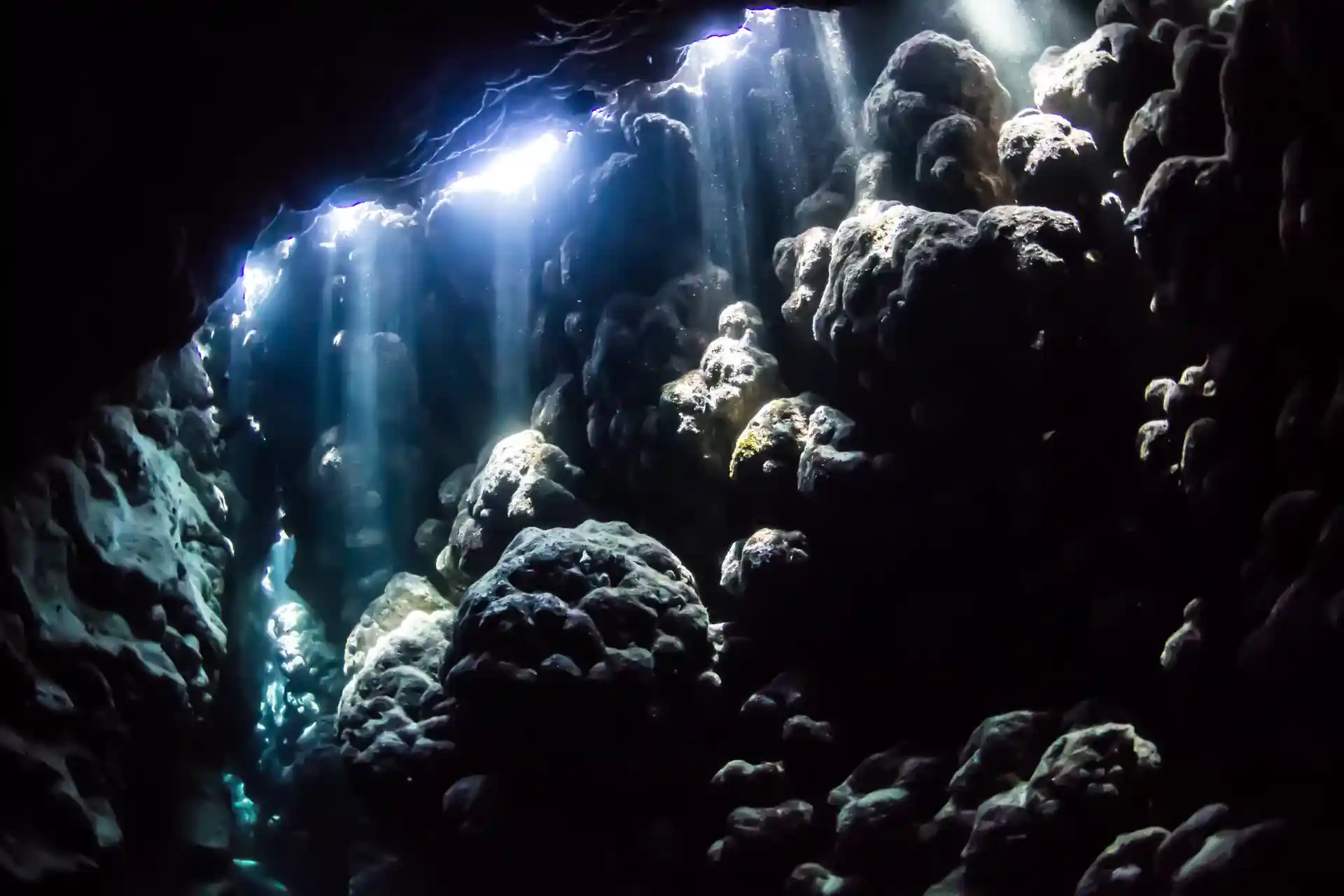 Dive site photo