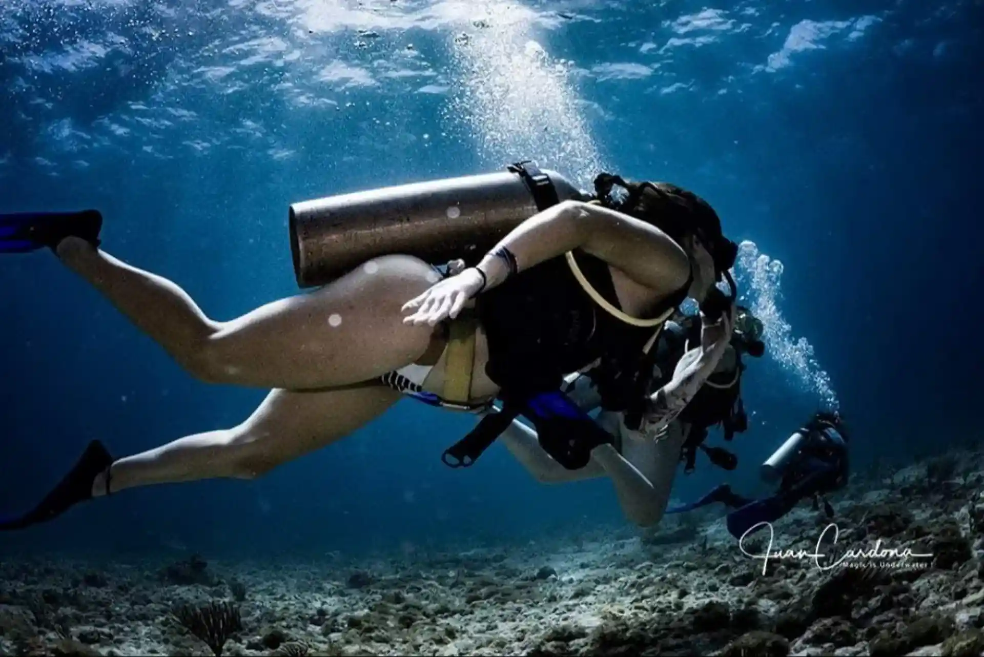 discovery scuba cancun