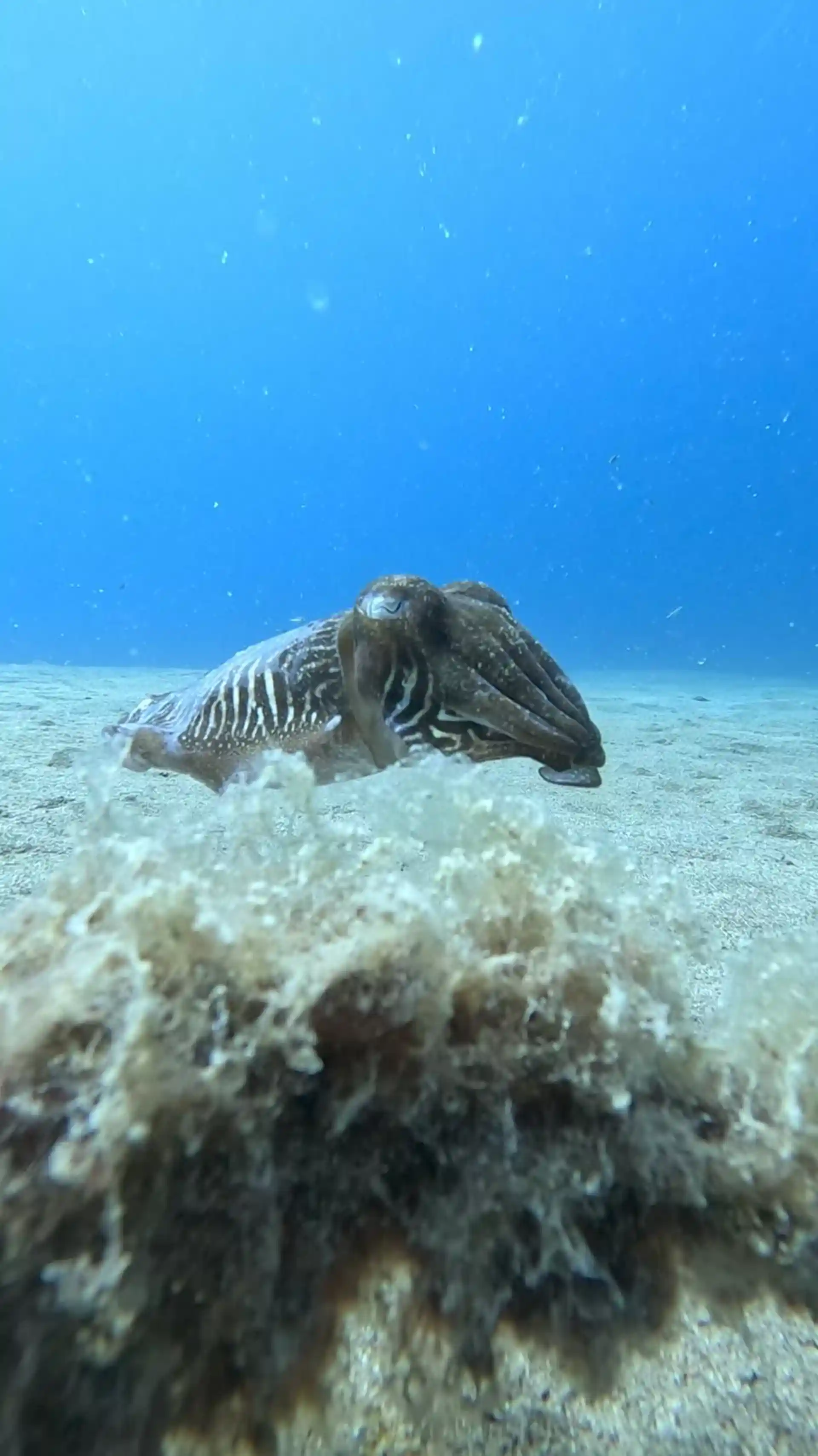 Foto des Tauchplatzes