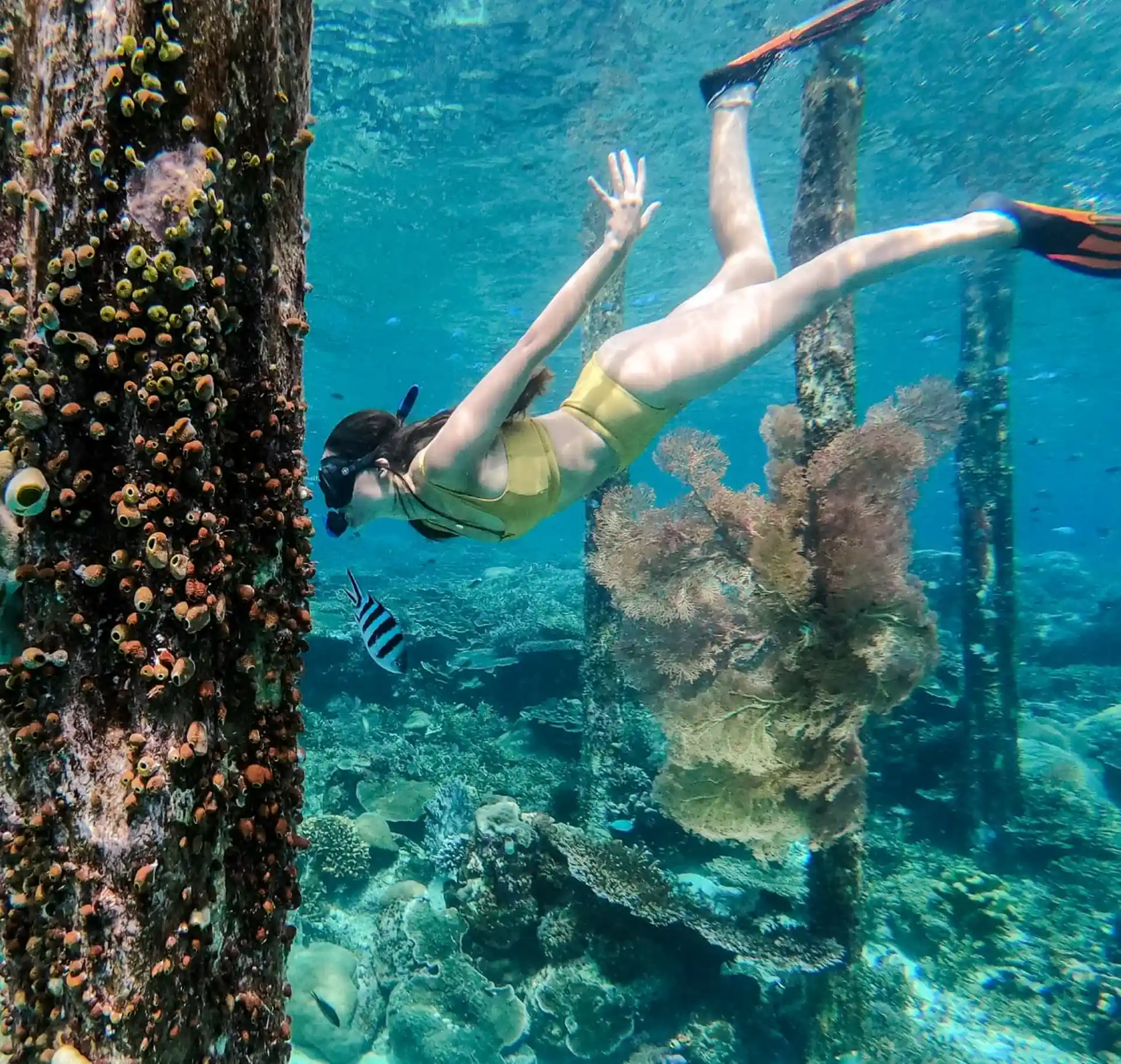 Dive site photo