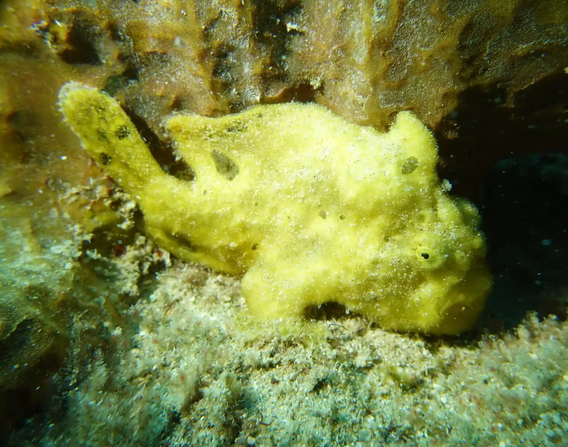 Dive site photo