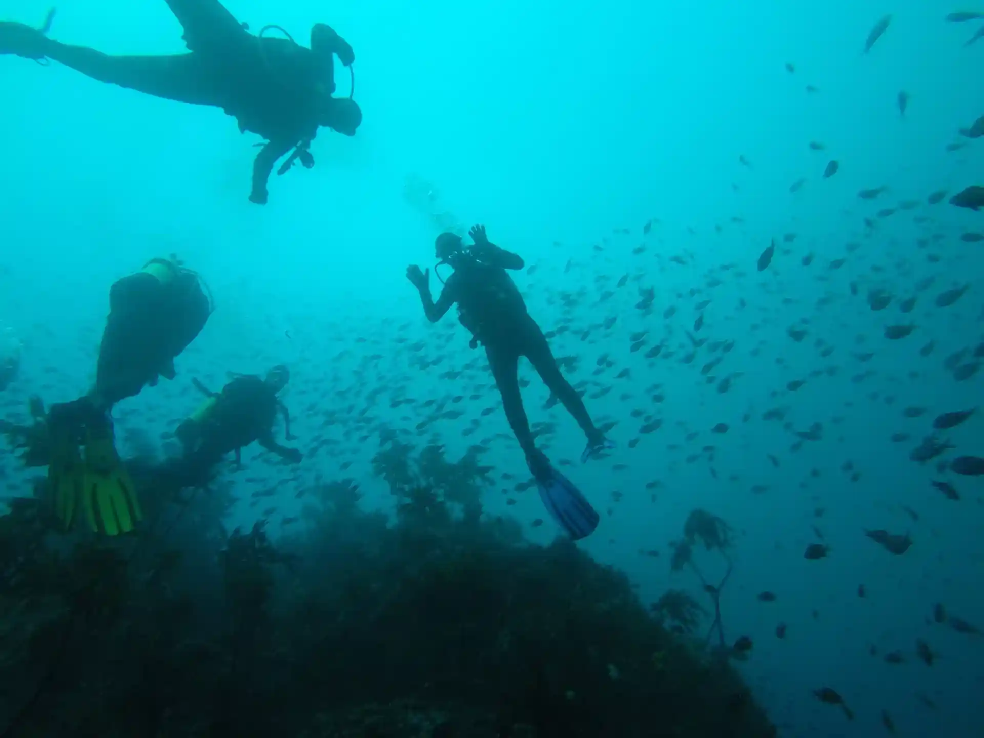 Dive site photo