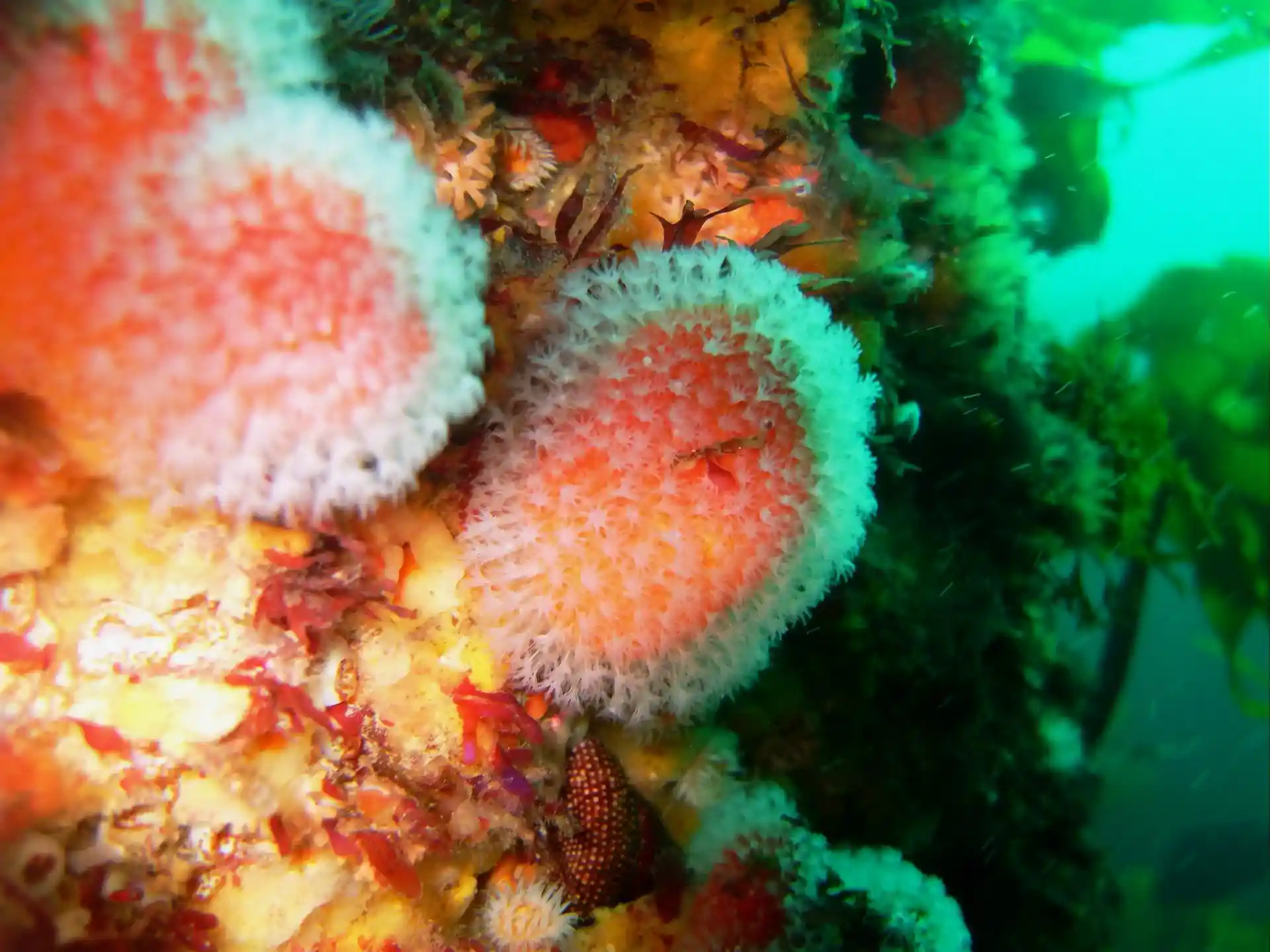 다이빙 포인트 사진