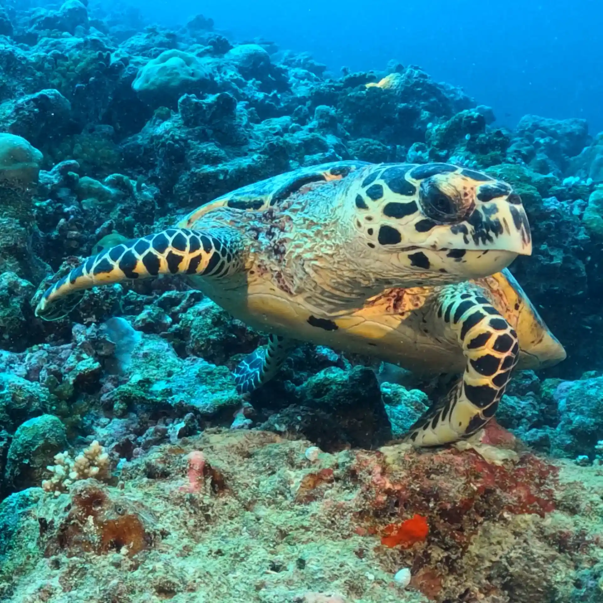 Foto de la actividad