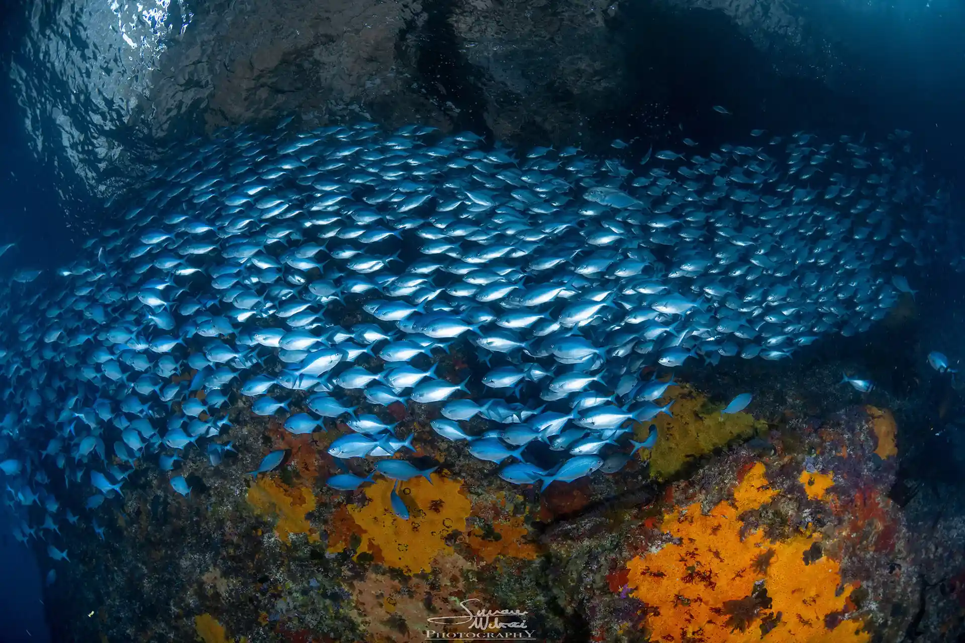 Dive site photo