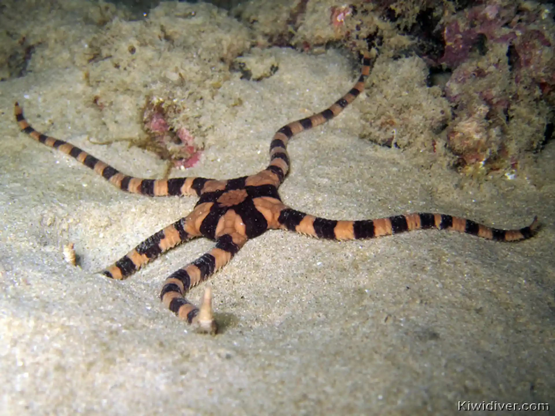 다이빙 포인트 사진