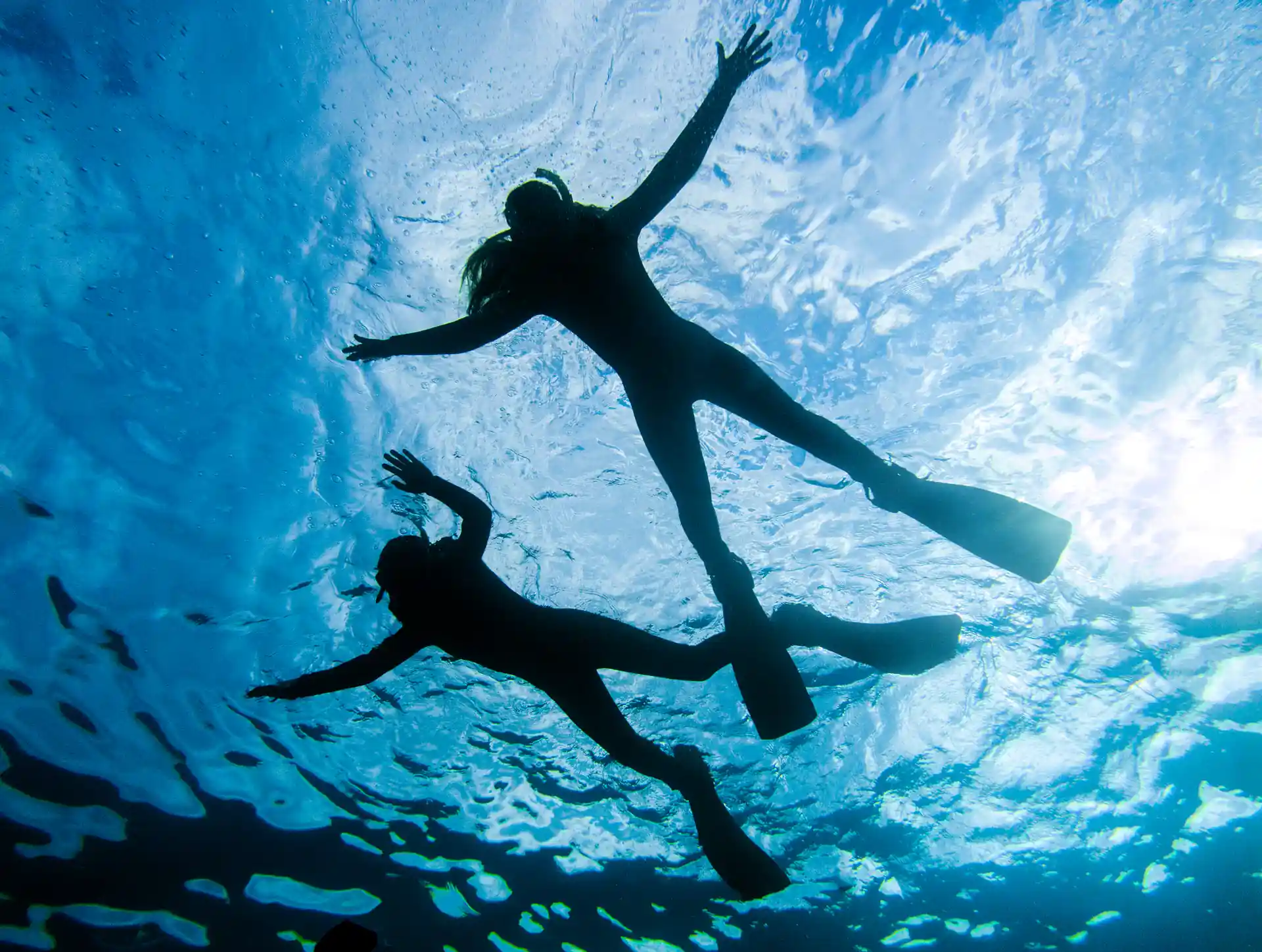 Foto de la actividad