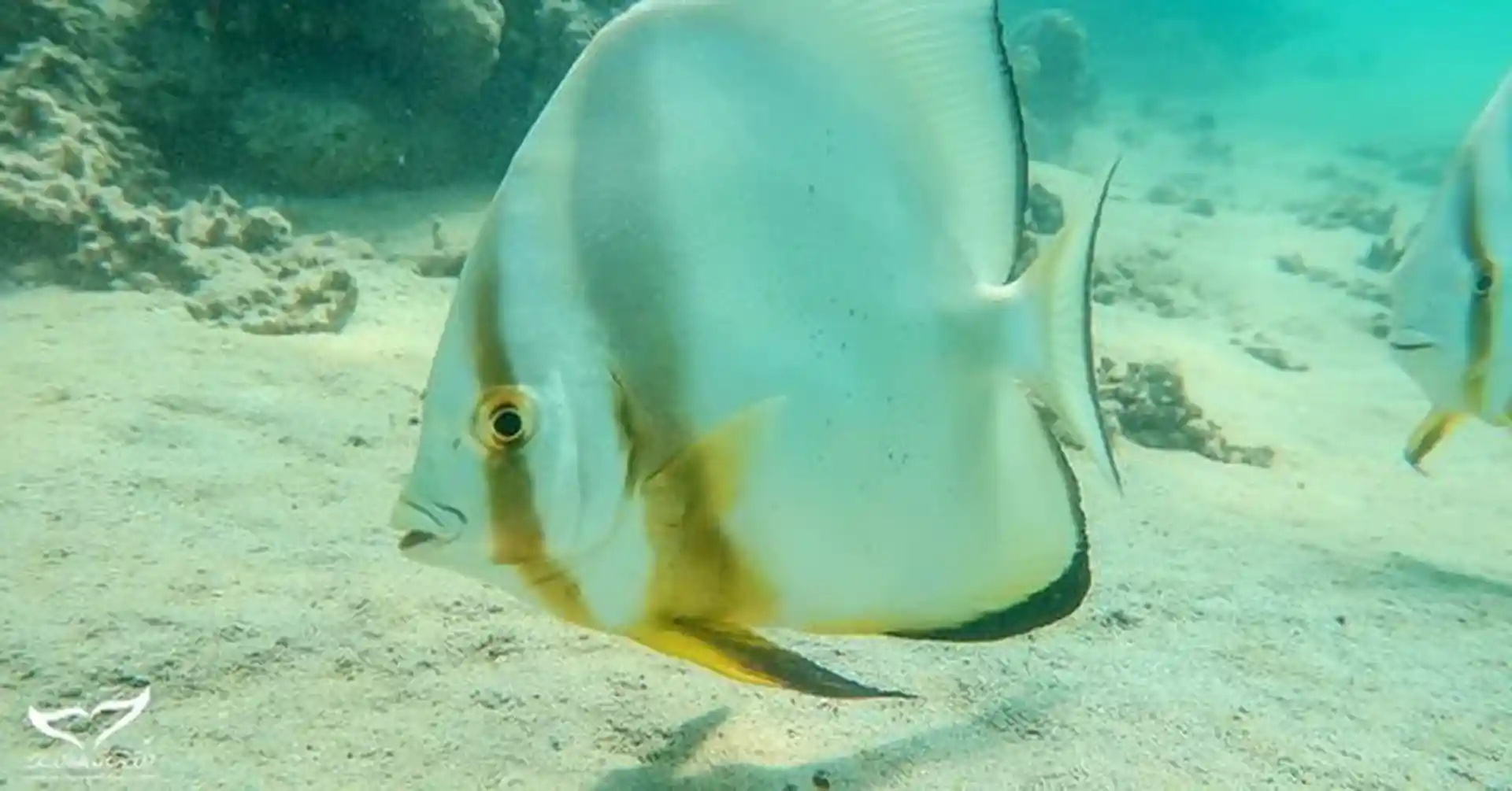 Dive site photo