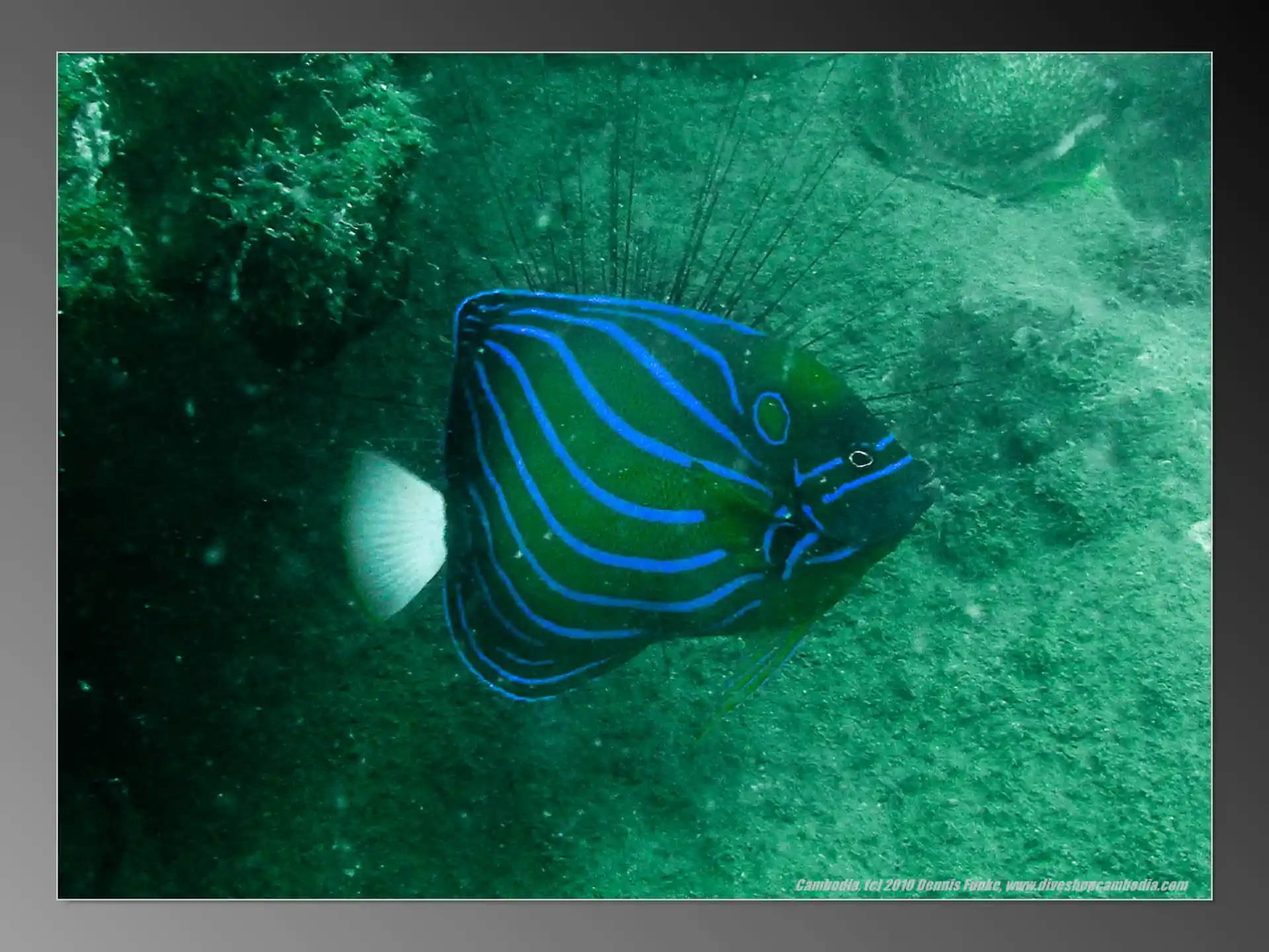 Foto van de duiklocatie