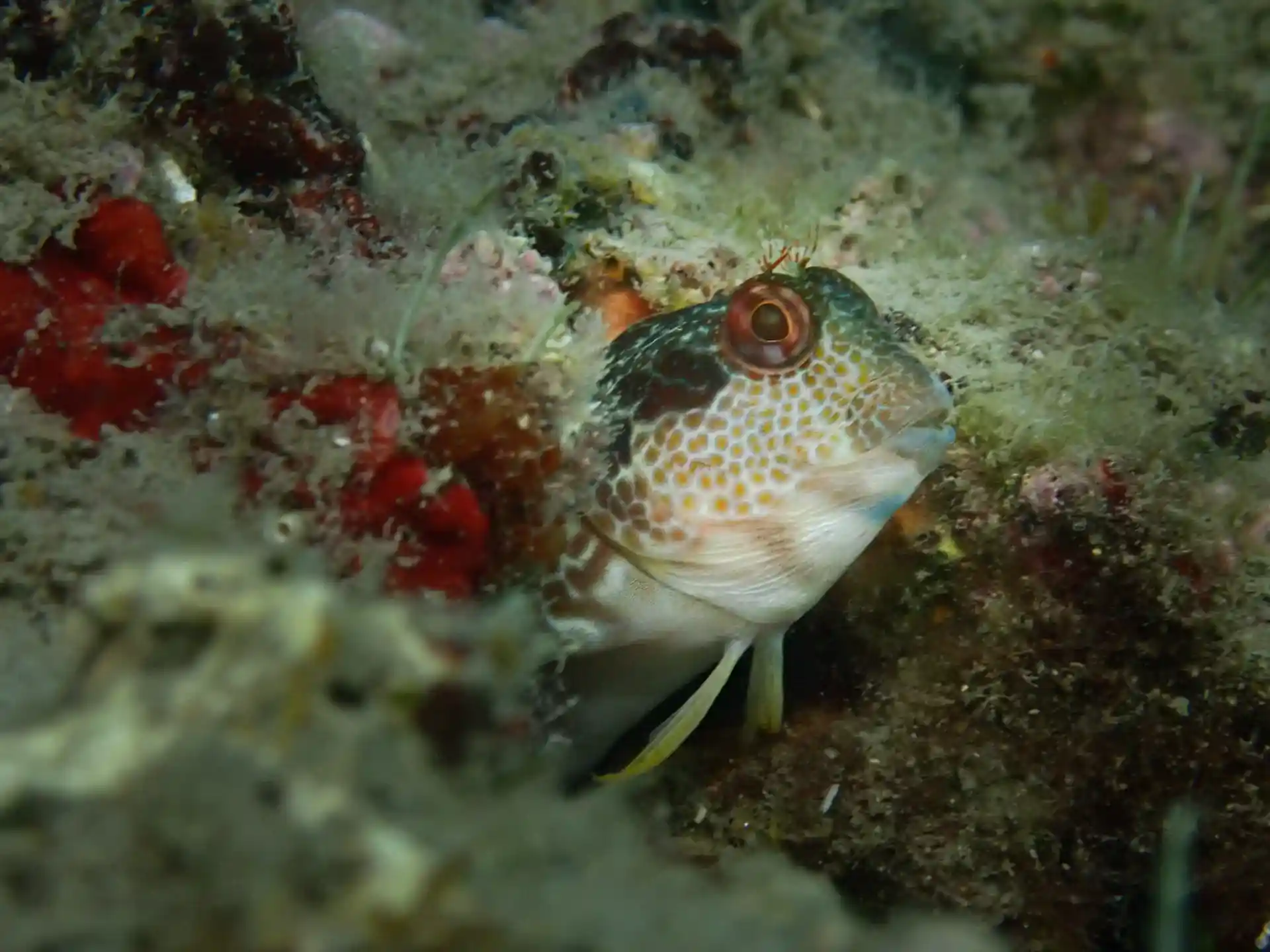 Dive shop photo