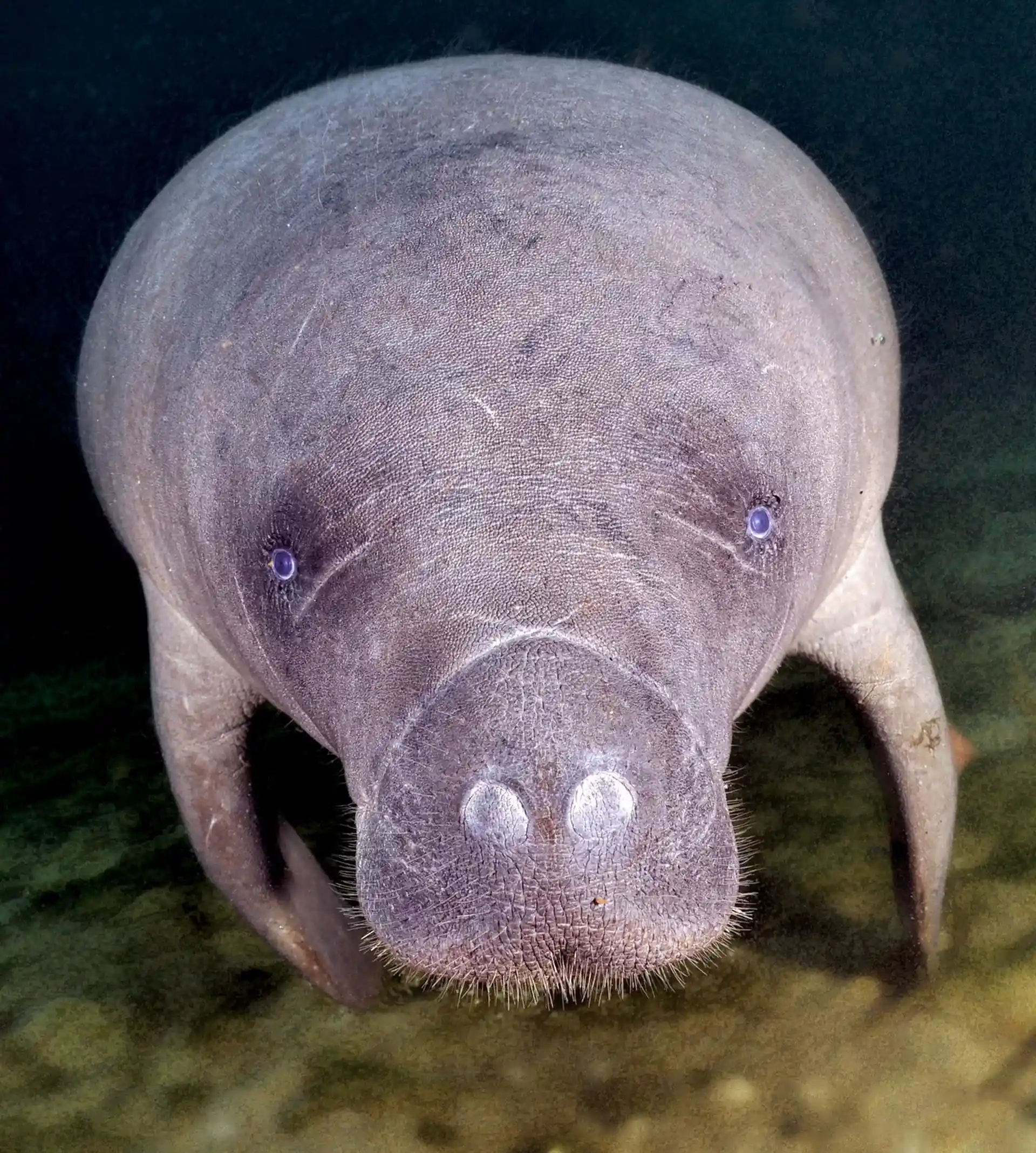 Foto des Tauchplatzes