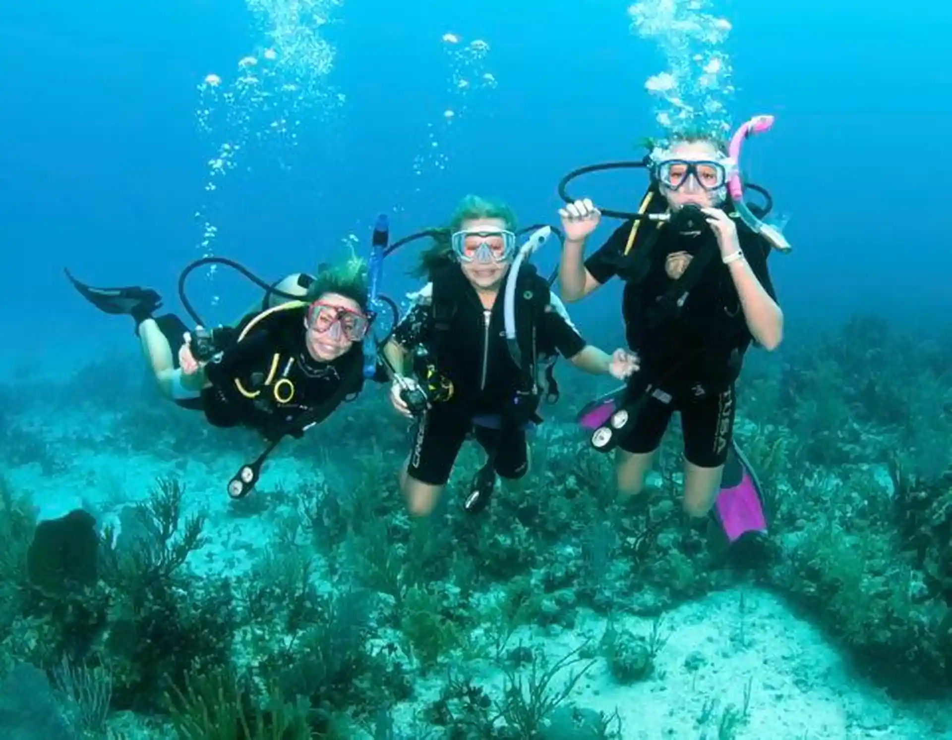Dive shop photo