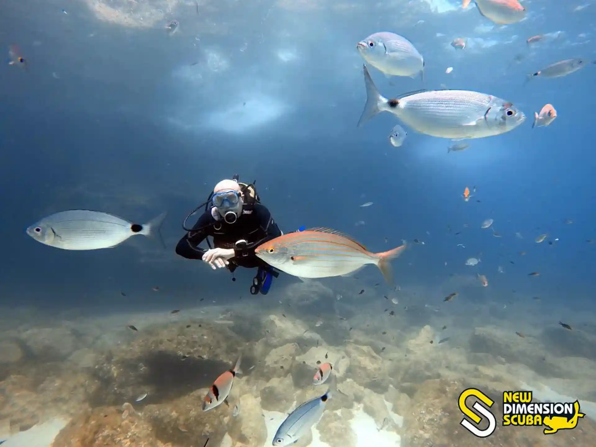 Dive site photo