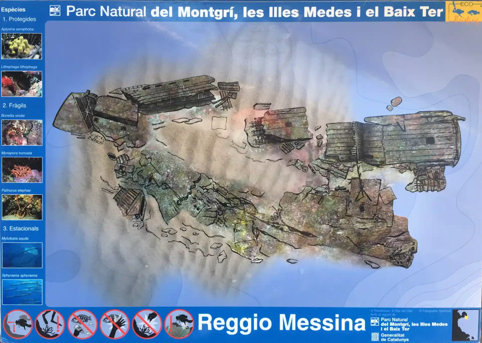 Foto van de duiklocatie