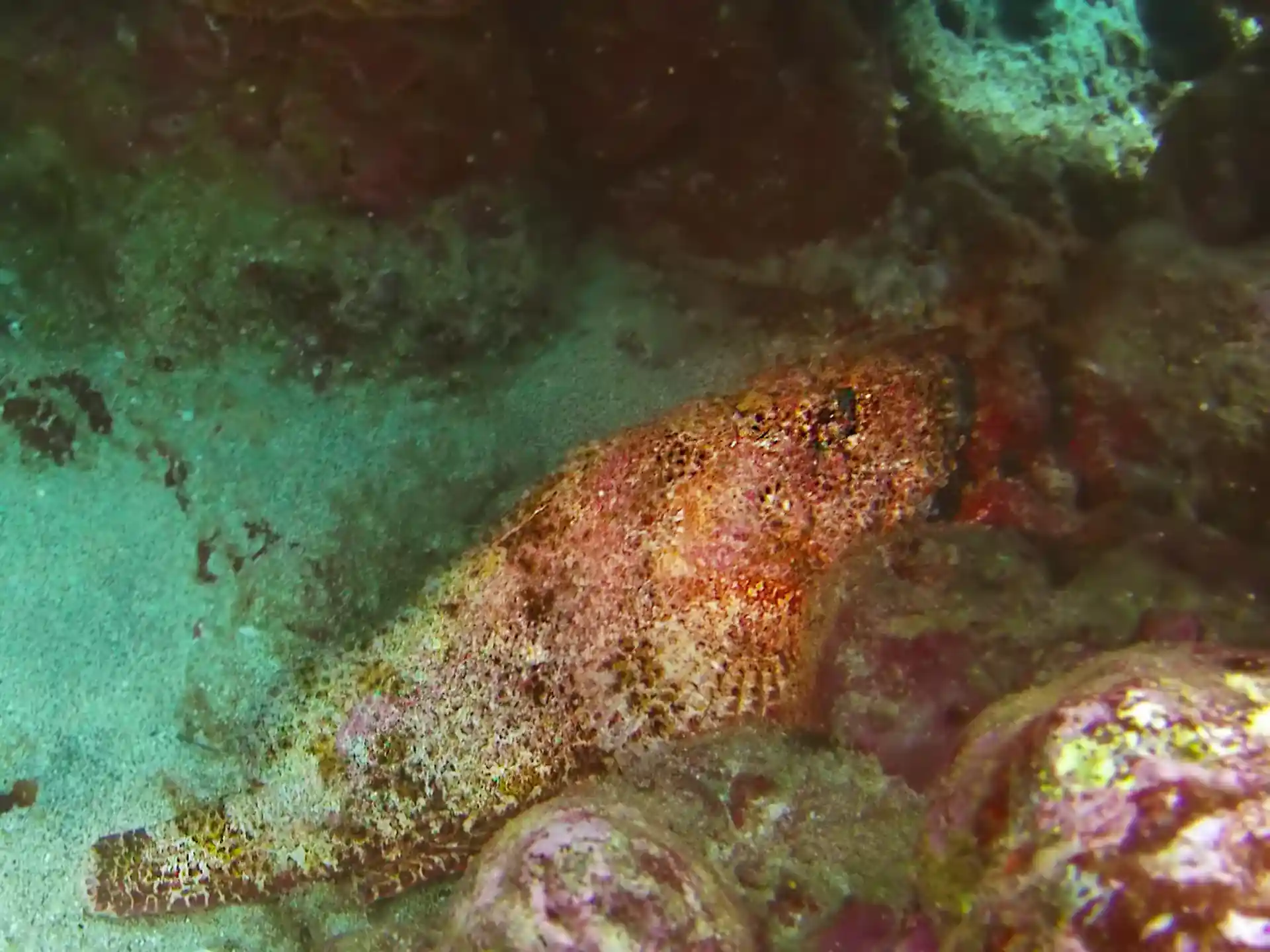 Dive site photo