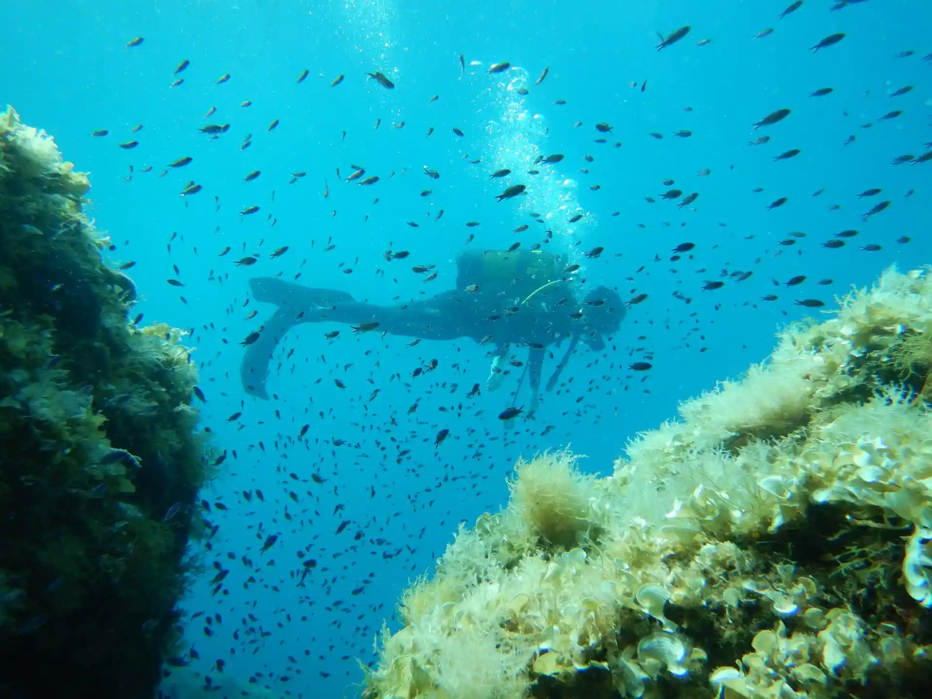 Dive site photo