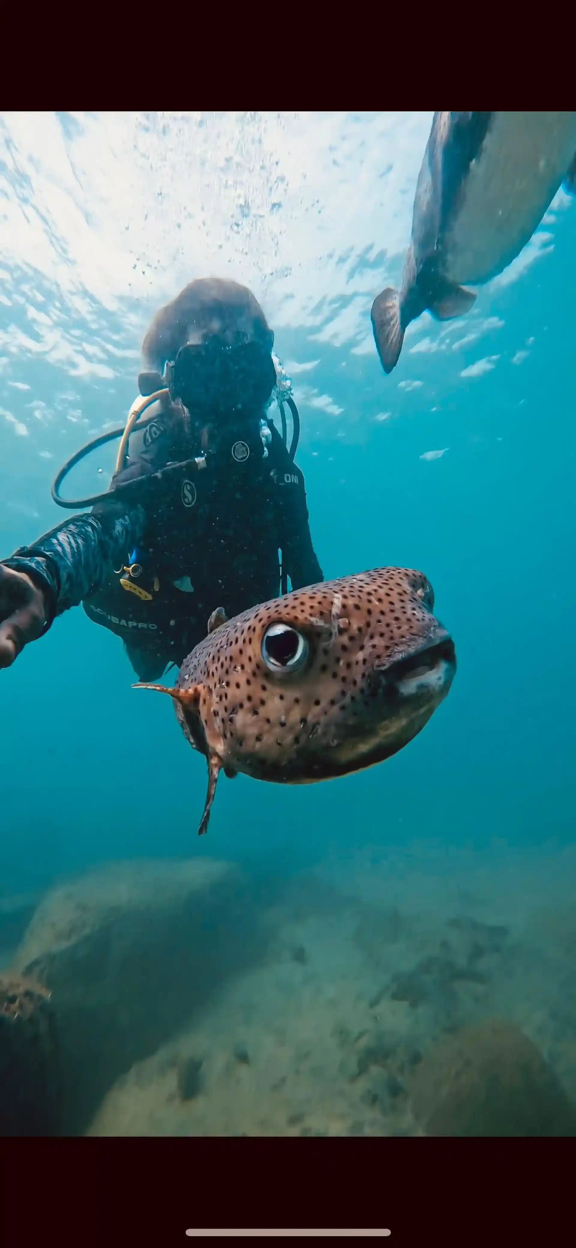 Dive shop photo