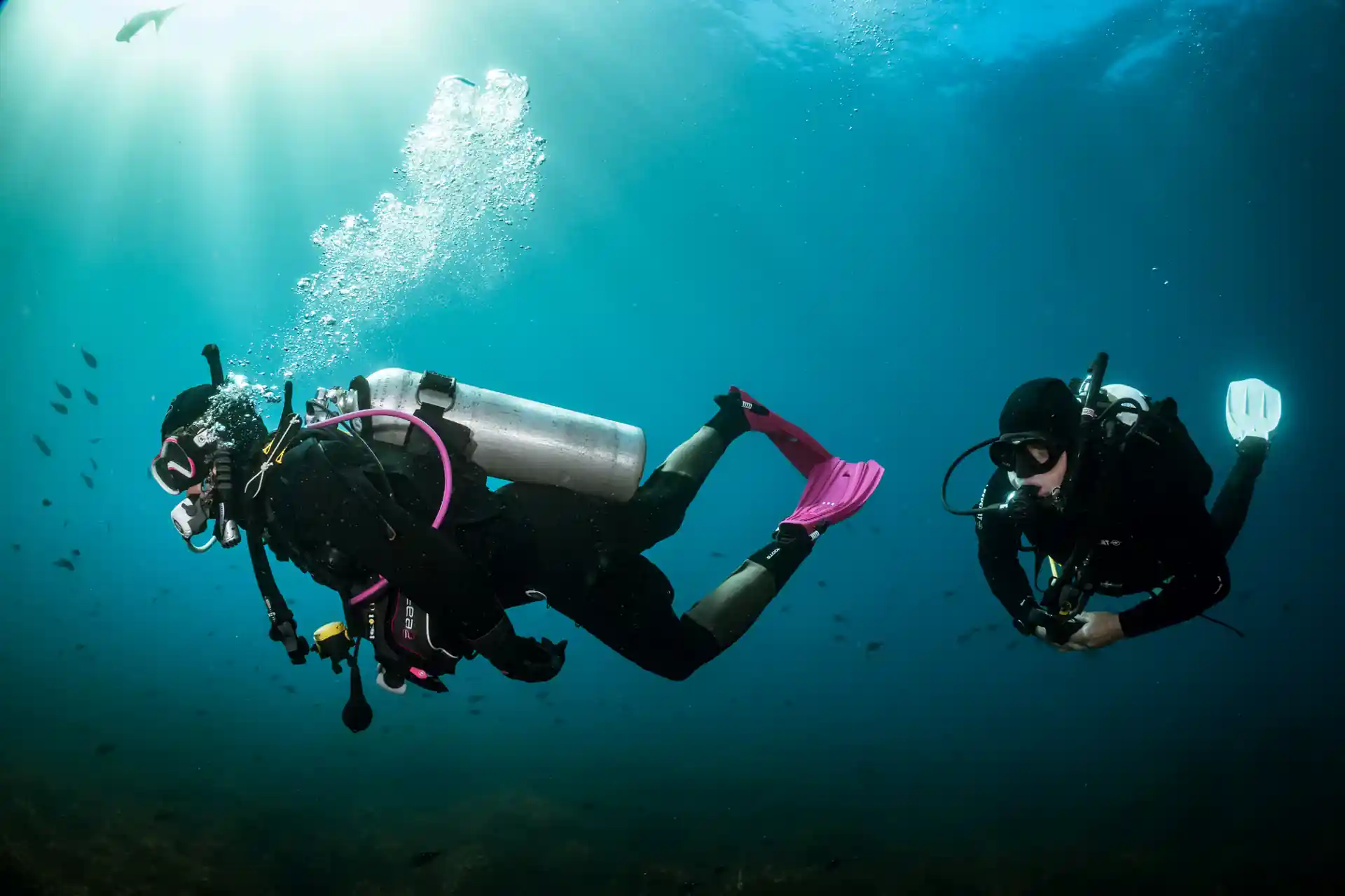 Dive site photo