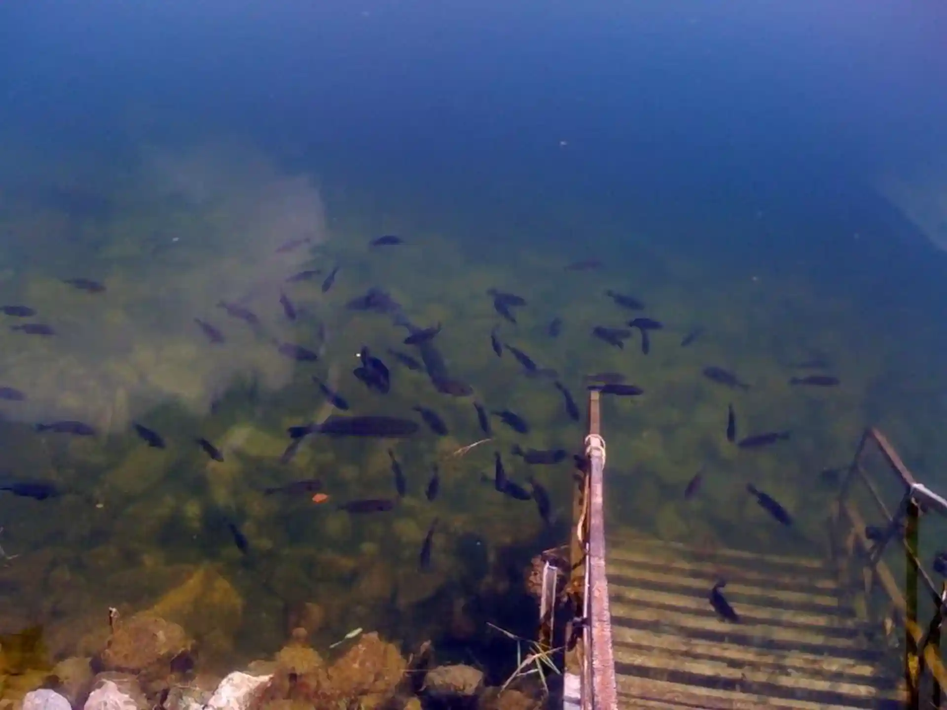 Dive site photo